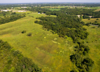 Trophy Hunting • Building Potential • Hobby Farm Opportunity – Monroe County, Iowa 72 +/- Acres