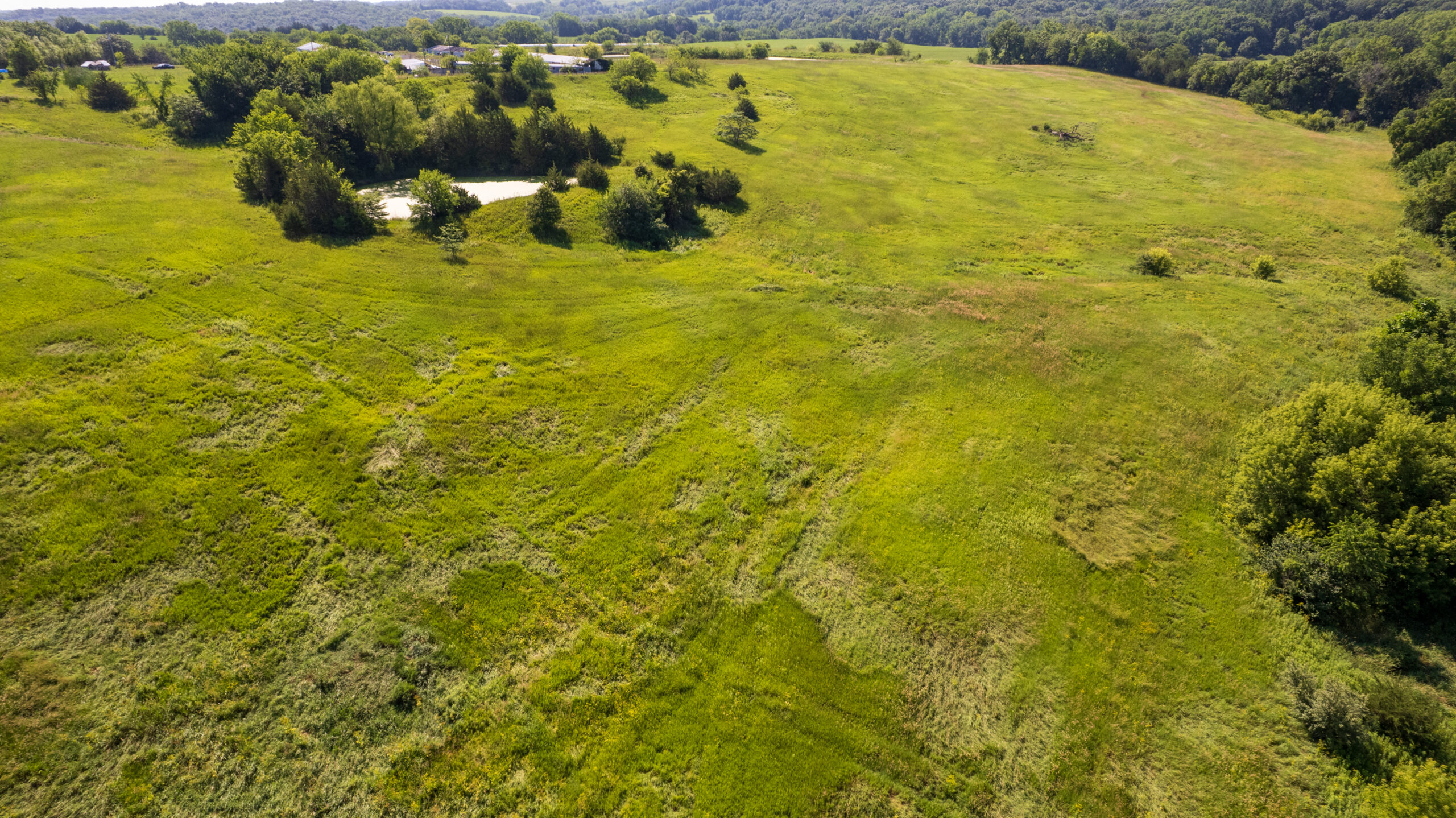 Trophy Hunting • Building Potential • Hobby Farm Opportunity – Monroe County, Iowa 72 +/- Acres