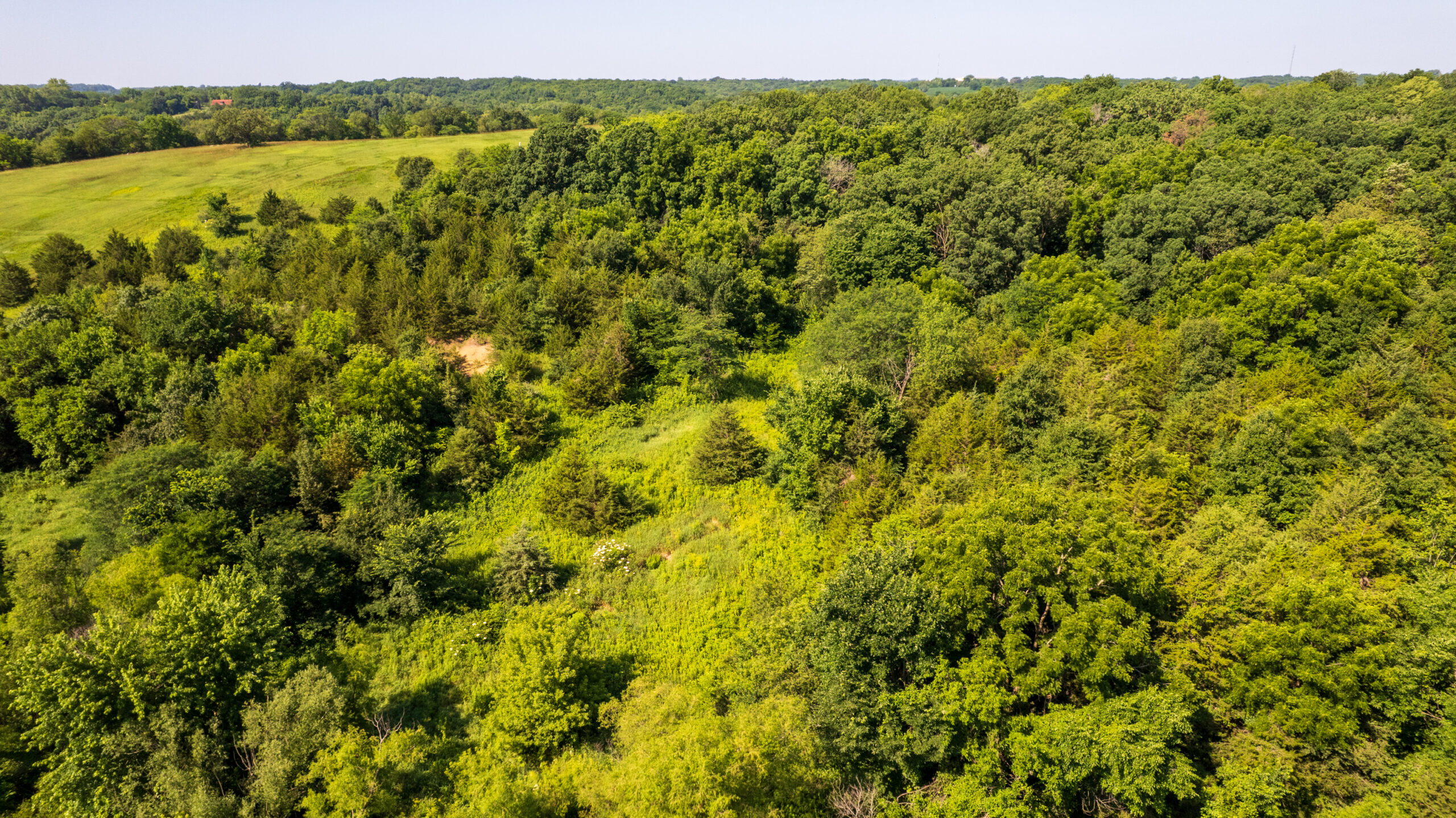 Trophy Hunting • Building Potential • Hobby Farm Opportunity – Monroe County, Iowa 72 +/- Acres