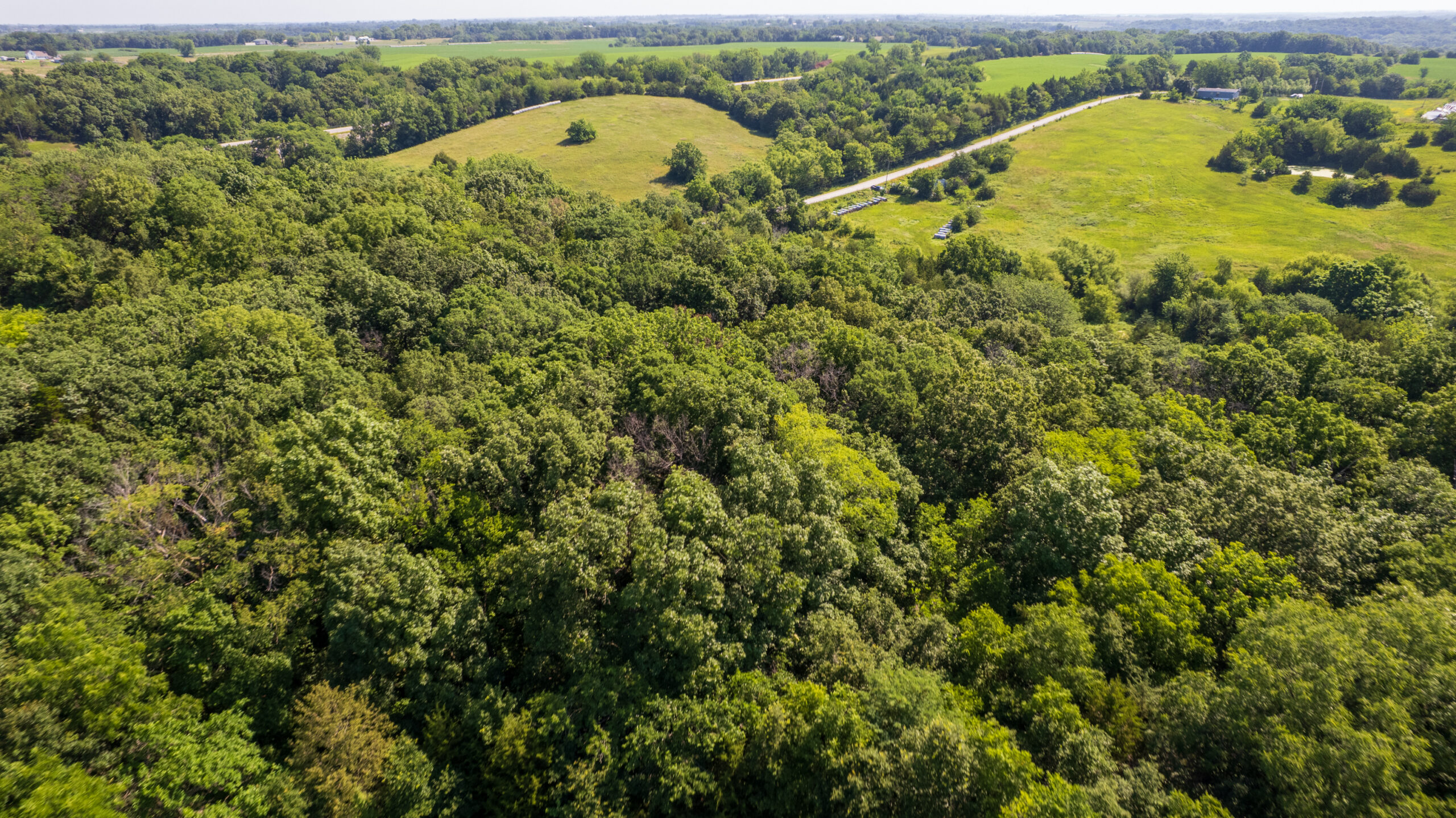 Trophy Hunting • Building Potential • Hobby Farm Opportunity – Monroe County, Iowa 72 +/- Acres