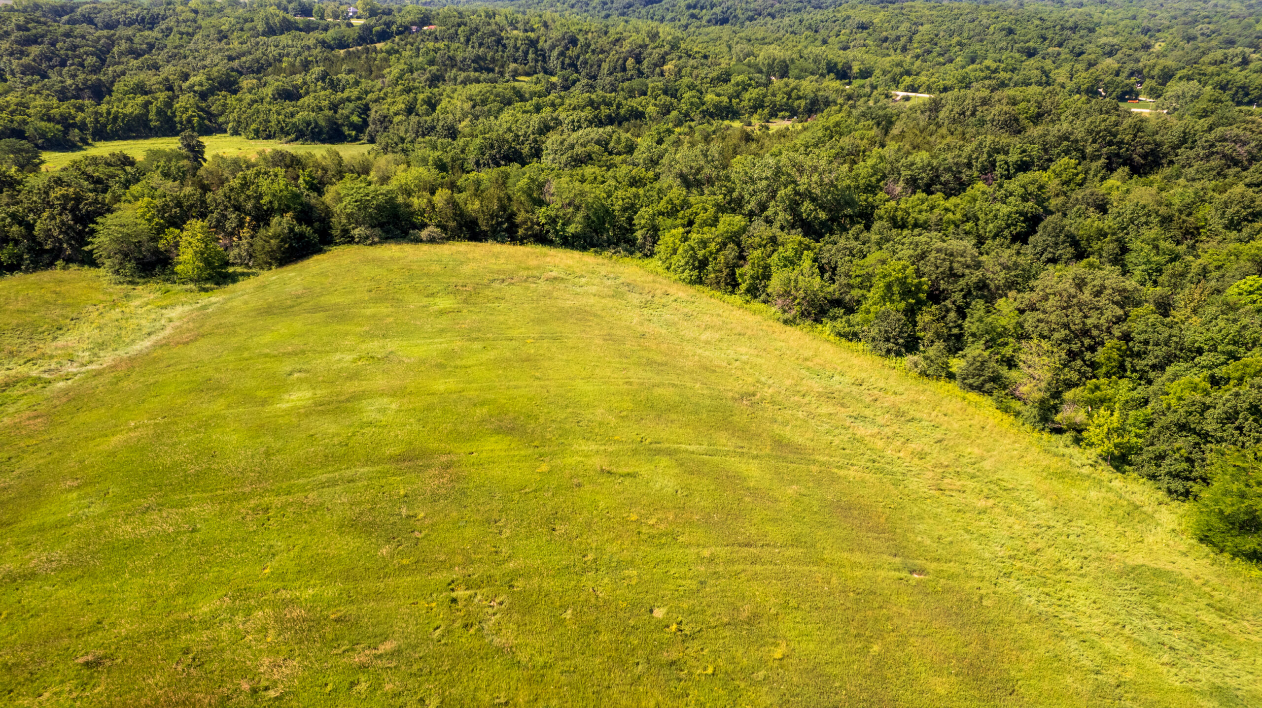 Trophy Hunting • Building Potential • Hobby Farm Opportunity – Monroe County, Iowa 72 +/- Acres