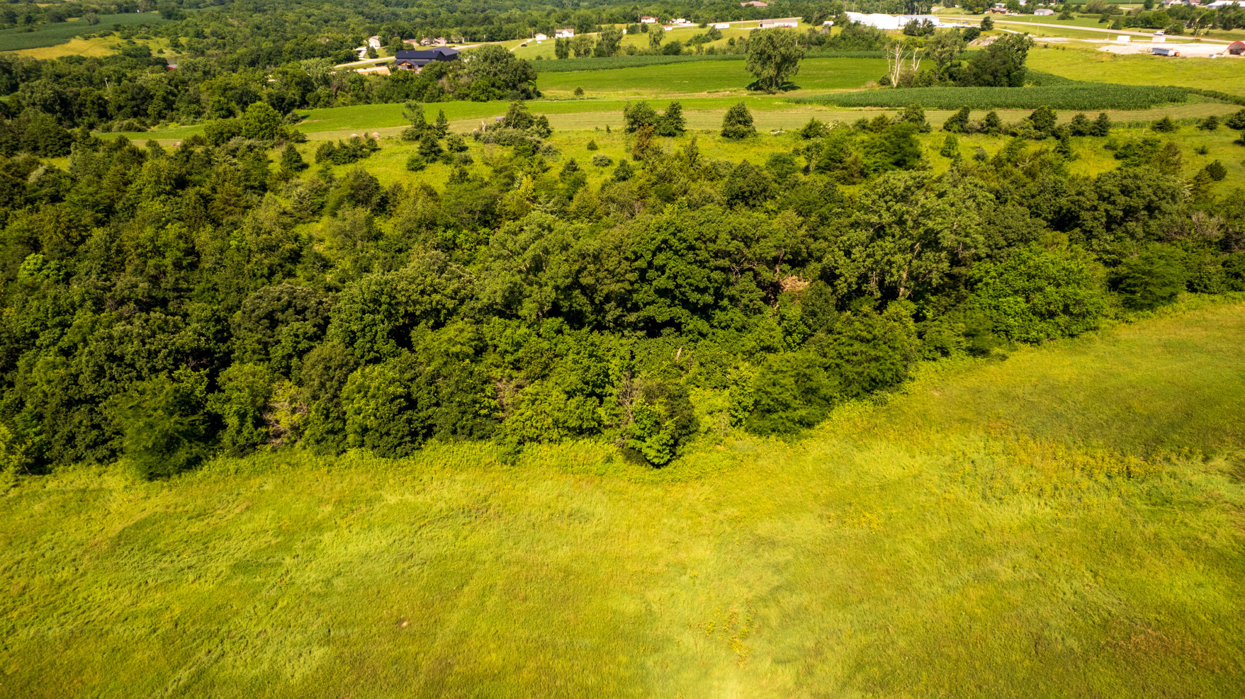 Trophy Hunting • Building Potential • Hobby Farm Opportunity – Monroe County, Iowa 72 +/- Acres