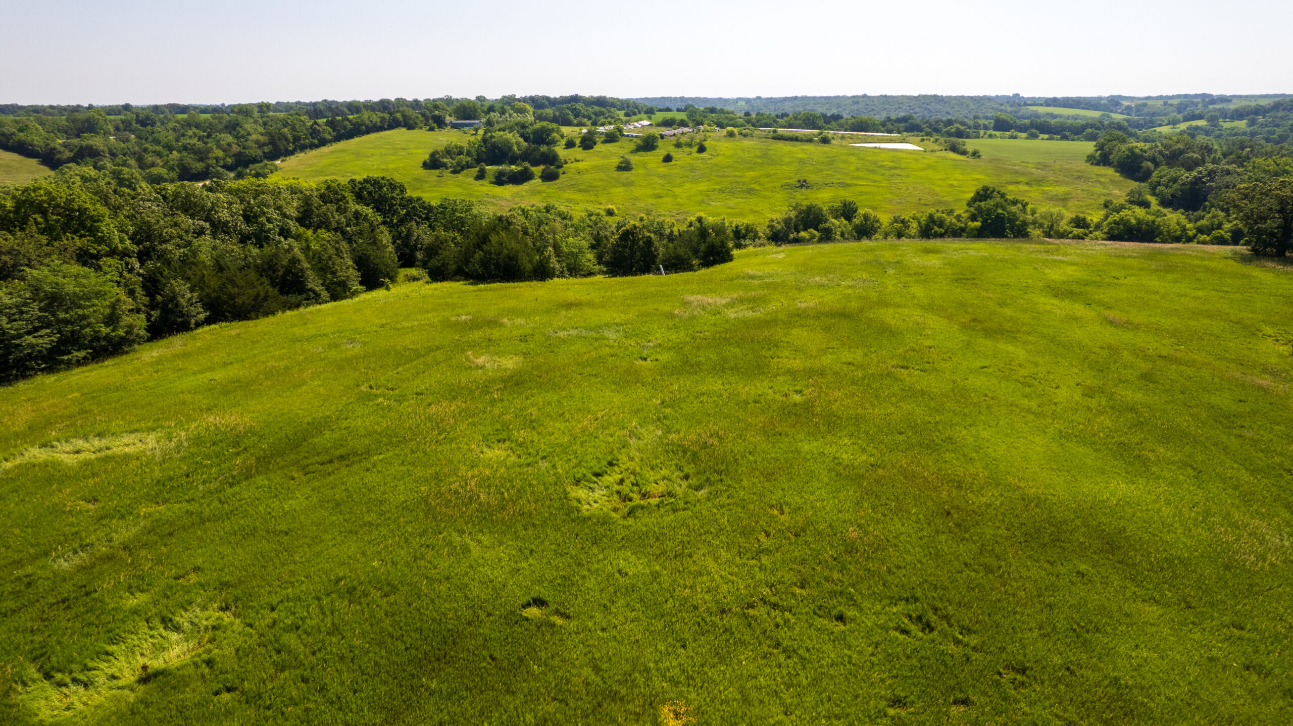 Trophy Hunting • Building Potential • Hobby Farm Opportunity – Monroe County, Iowa 72 +/- Acres