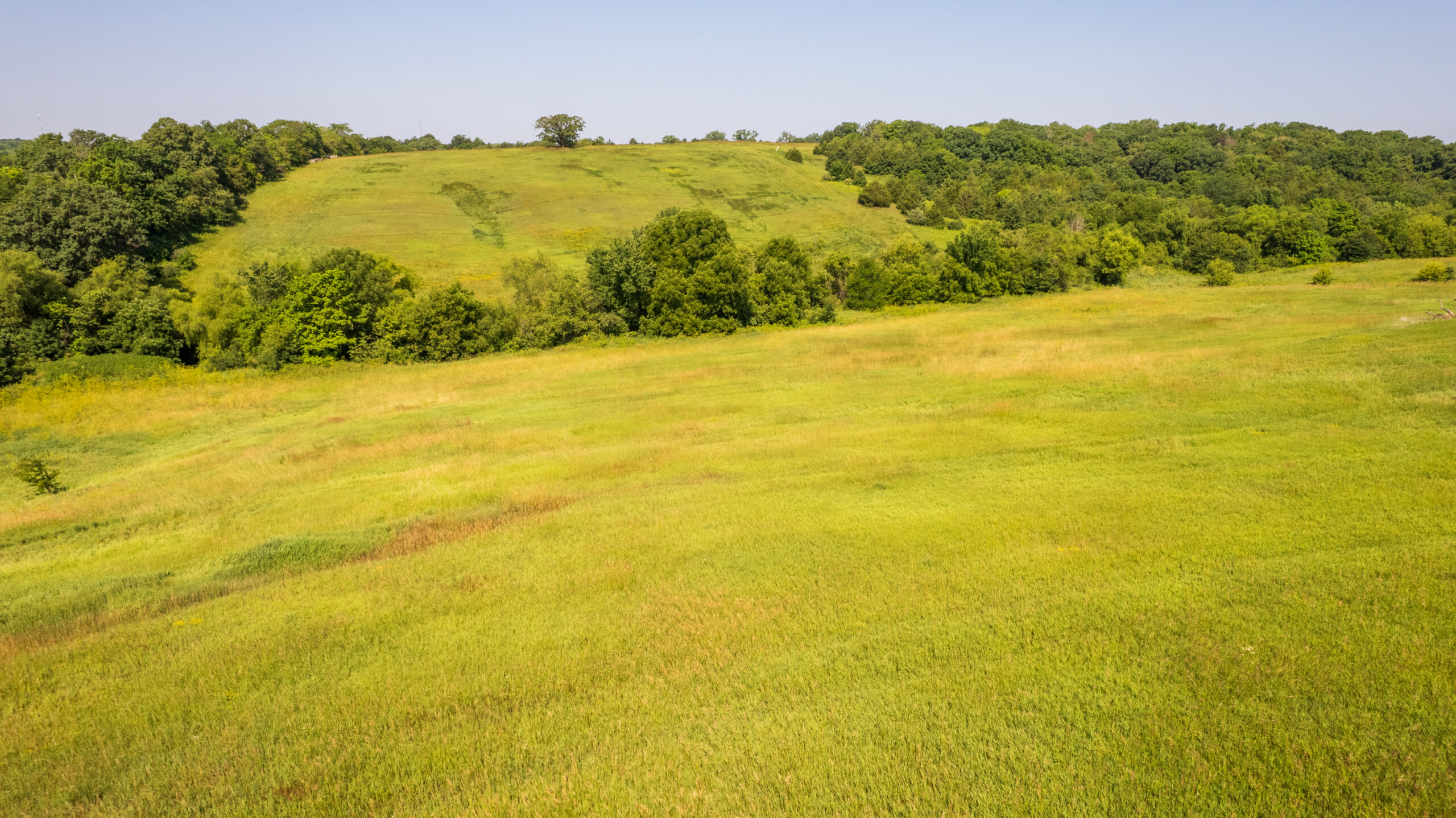 Trophy Hunting • Building Potential • Hobby Farm Opportunity – Monroe County, Iowa 72 +/- Acres