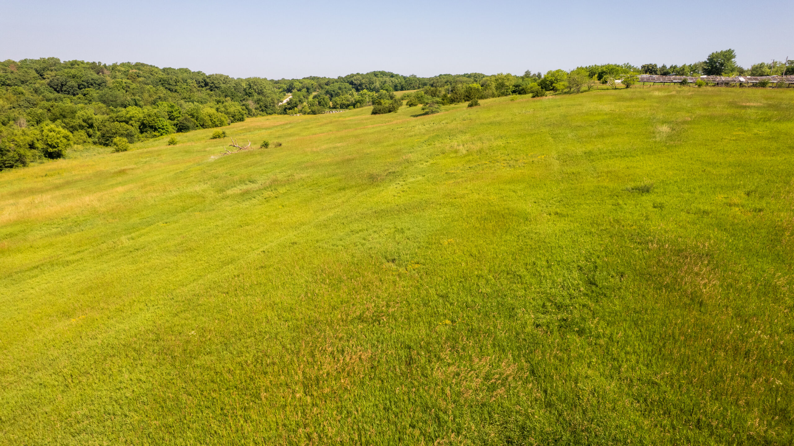 Trophy Hunting • Building Potential • Hobby Farm Opportunity – Monroe County, Iowa 72 +/- Acres