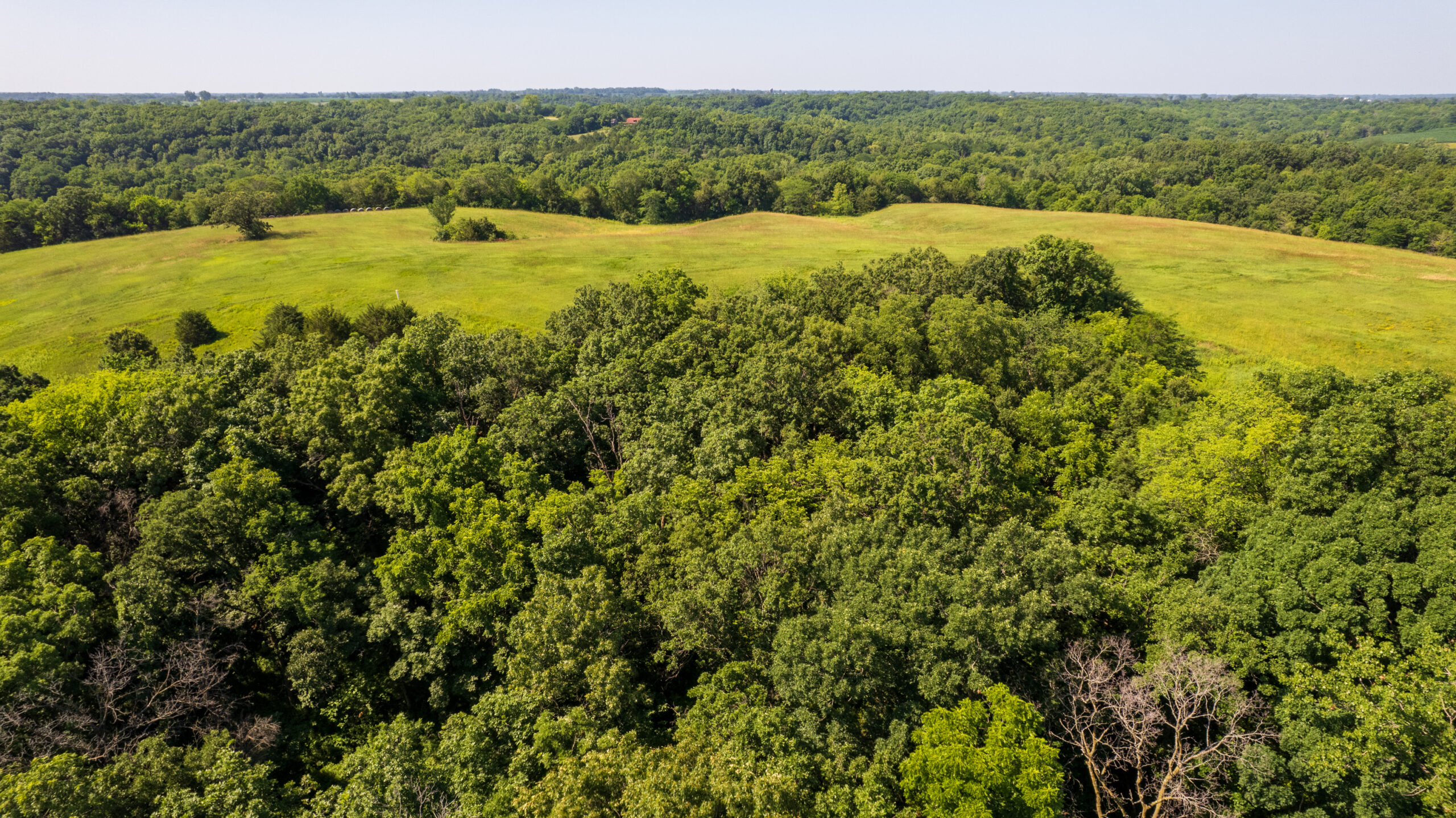 Trophy Hunting • Building Potential • Hobby Farm Opportunity – Monroe County, Iowa 72 +/- Acres