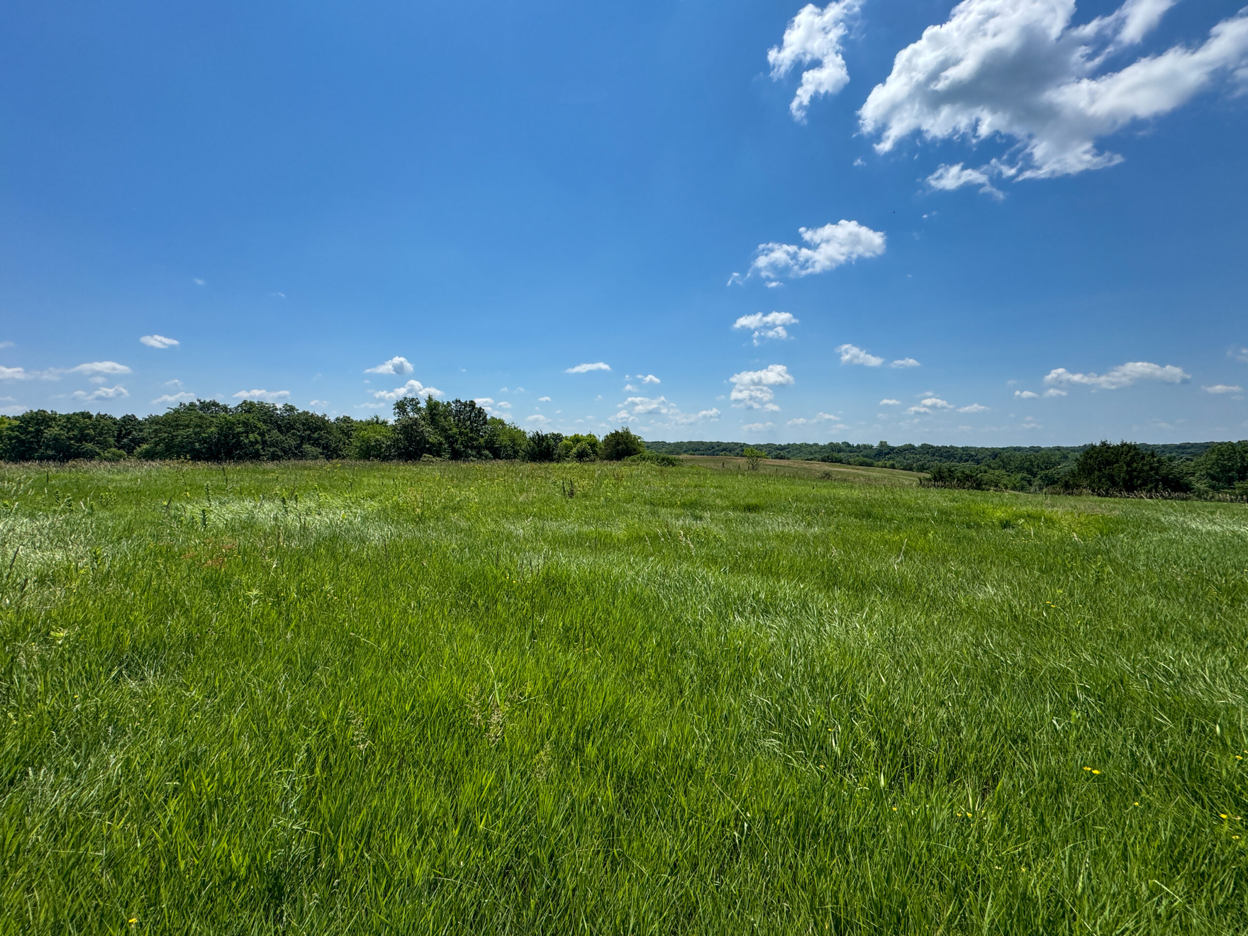 Trophy Hunting • Building Potential • Hobby Farm Opportunity – Monroe County, Iowa 72 +/- Acres