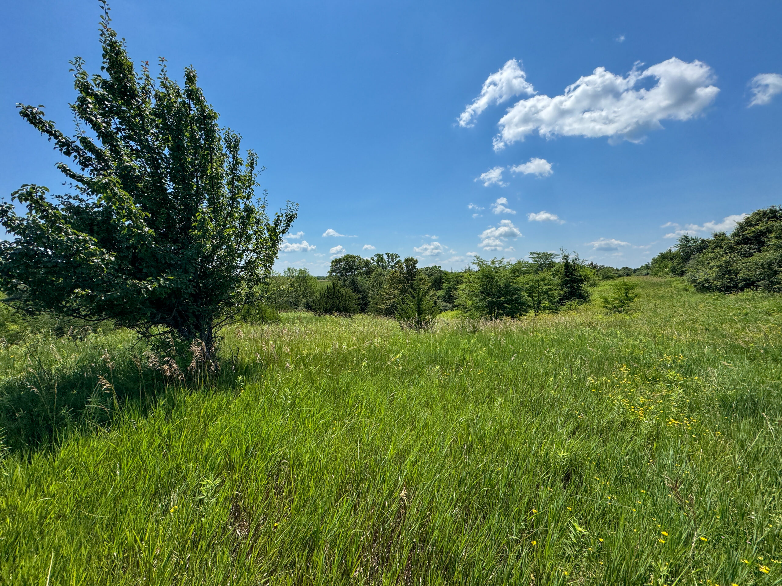 Trophy Hunting • Building Potential • Hobby Farm Opportunity – Monroe County, Iowa 72 +/- Acres