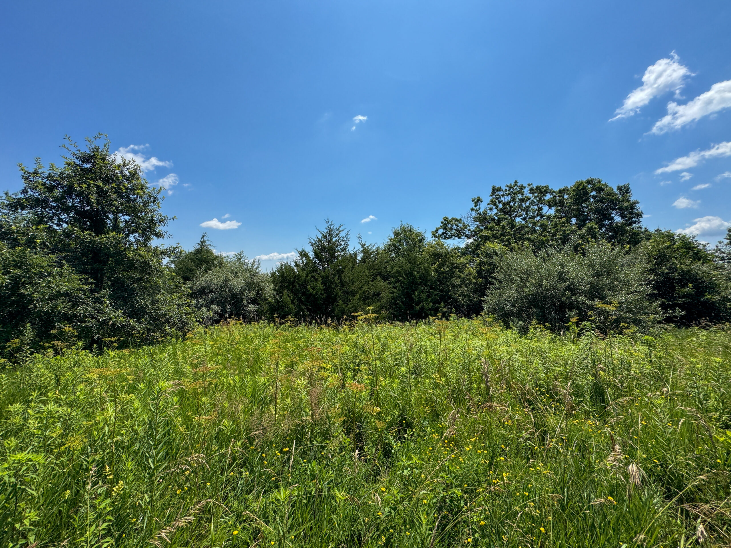 Trophy Hunting • Building Potential • Hobby Farm Opportunity – Monroe County, Iowa 72 +/- Acres