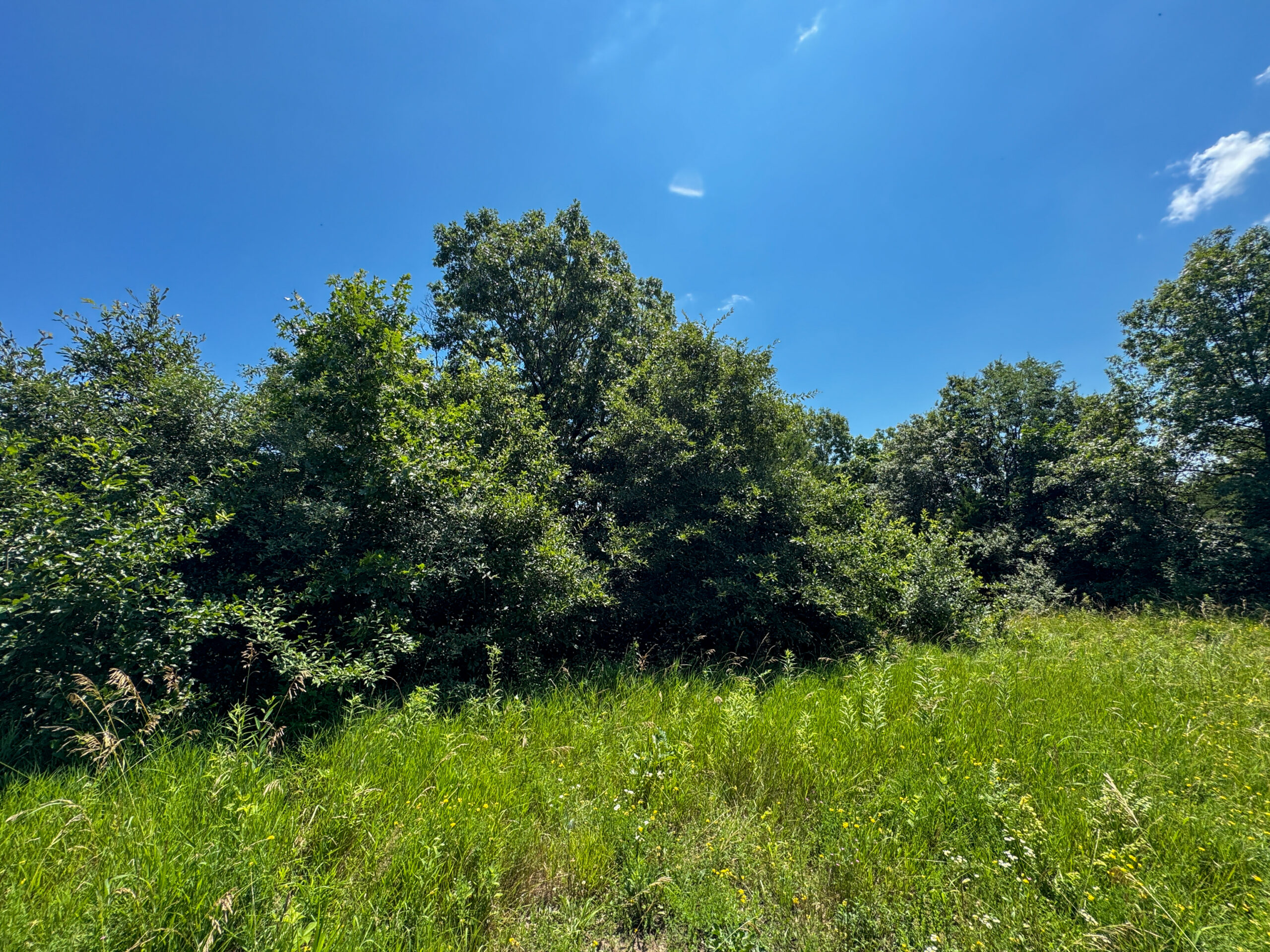 Trophy Hunting • Building Potential • Hobby Farm Opportunity – Monroe County, Iowa 72 +/- Acres