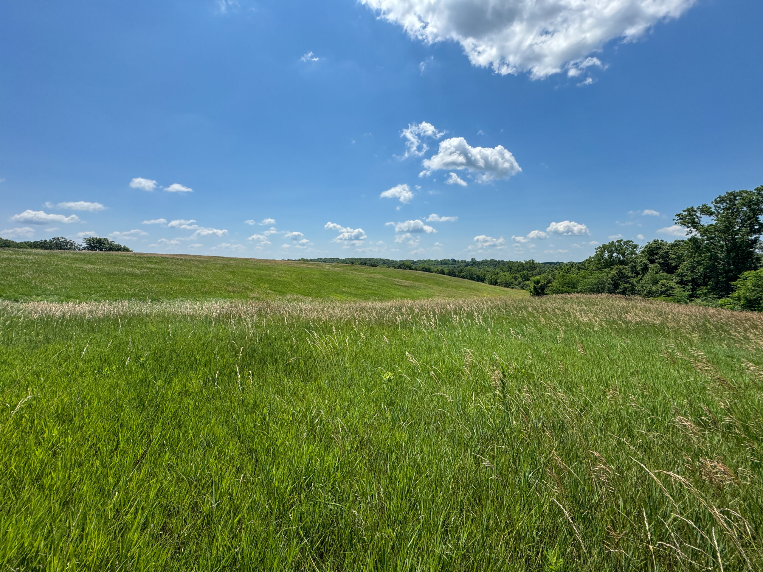 Trophy Hunting • Building Potential • Hobby Farm Opportunity – Monroe County, Iowa 72 +/- Acres