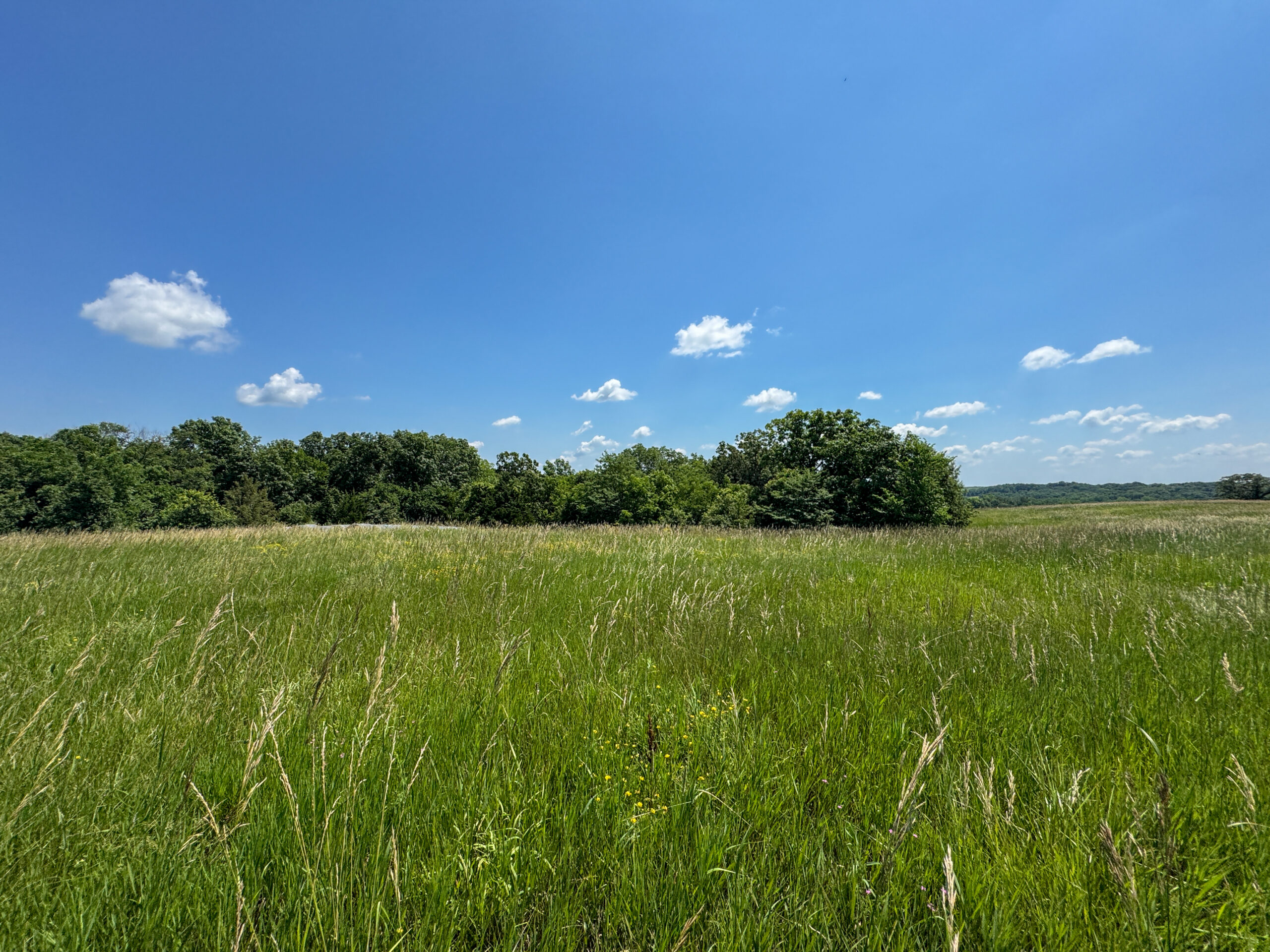 Trophy Hunting • Building Potential • Hobby Farm Opportunity – Monroe County, Iowa 72 +/- Acres
