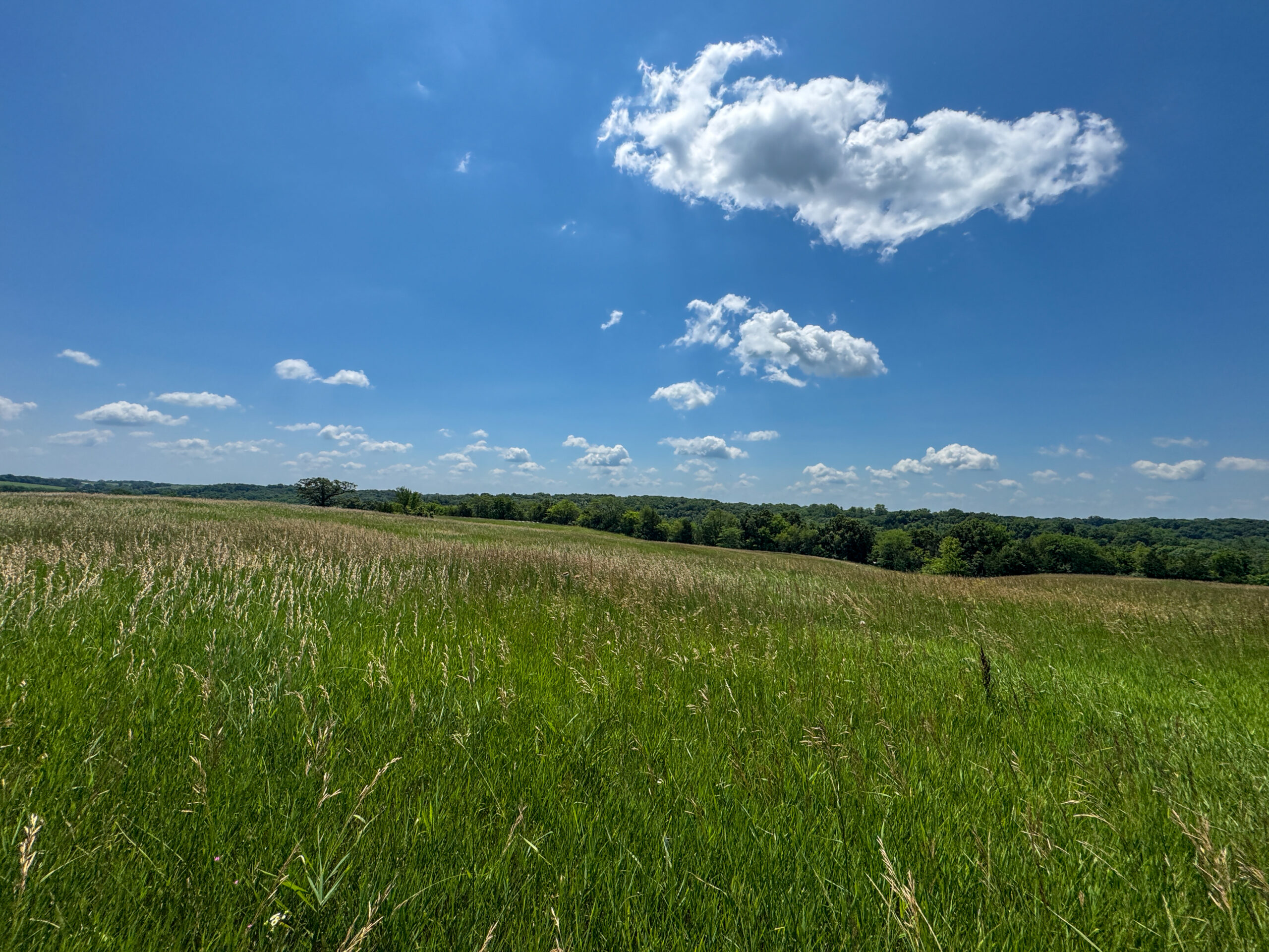 Trophy Hunting • Building Potential • Hobby Farm Opportunity – Monroe County, Iowa 72 +/- Acres