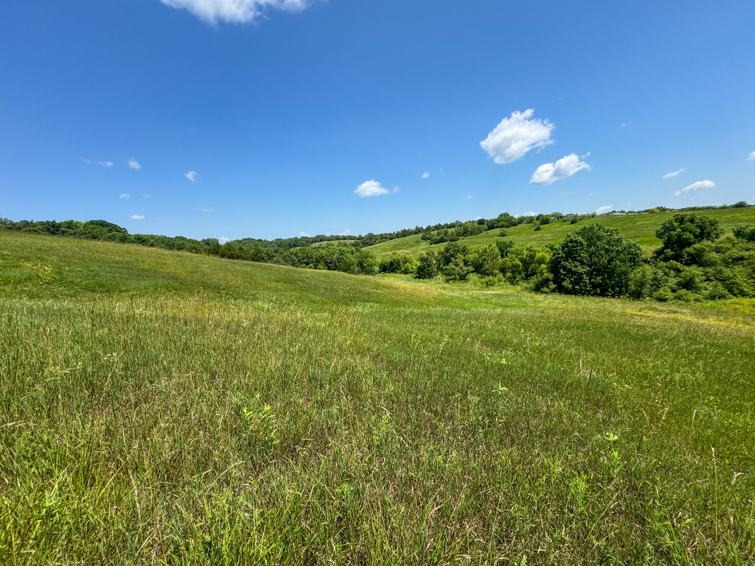 Trophy Hunting • Building Potential • Hobby Farm Opportunity – Monroe County, Iowa 72 +/- Acres