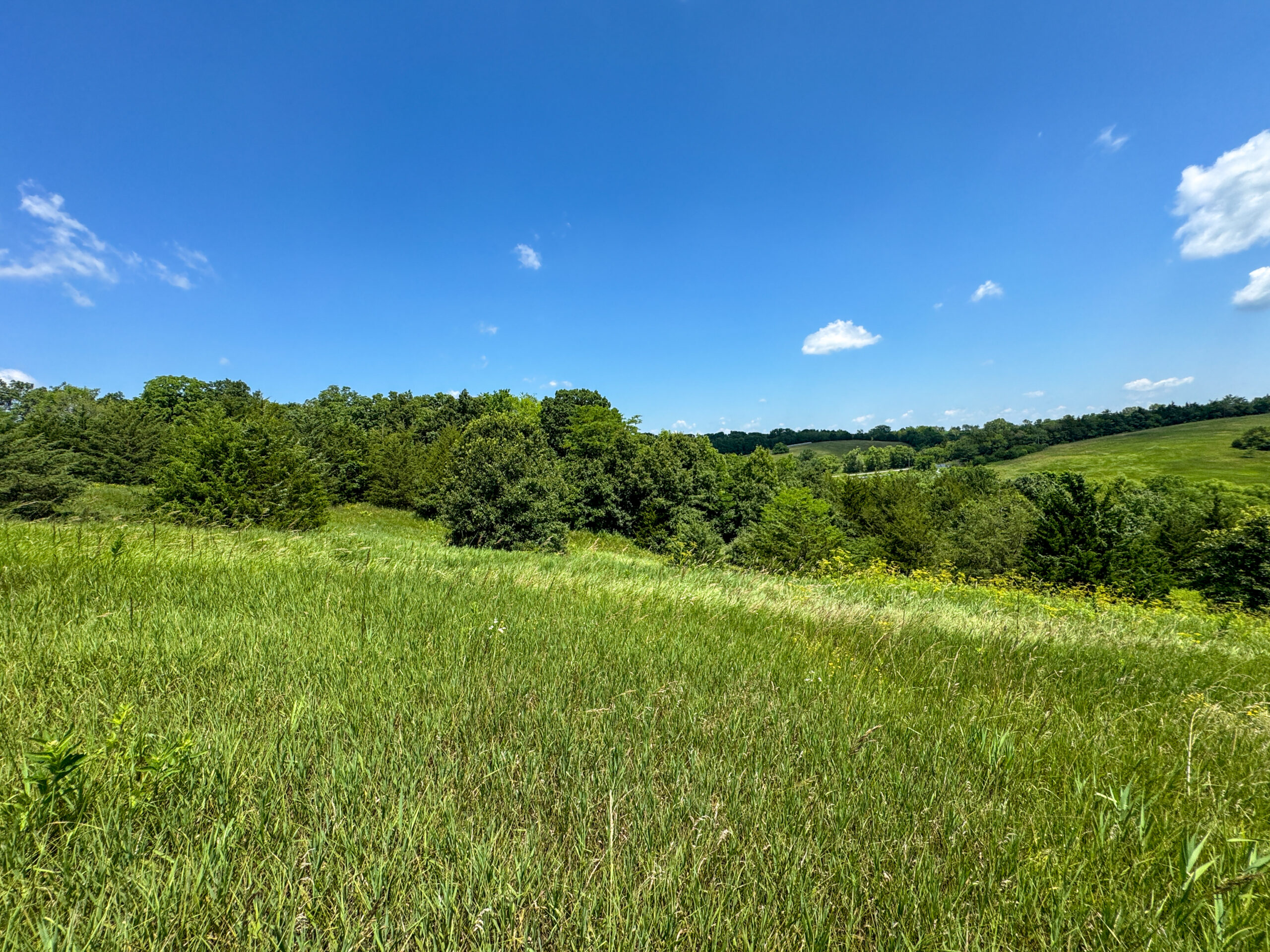 Trophy Hunting • Building Potential • Hobby Farm Opportunity – Monroe County, Iowa 72 +/- Acres