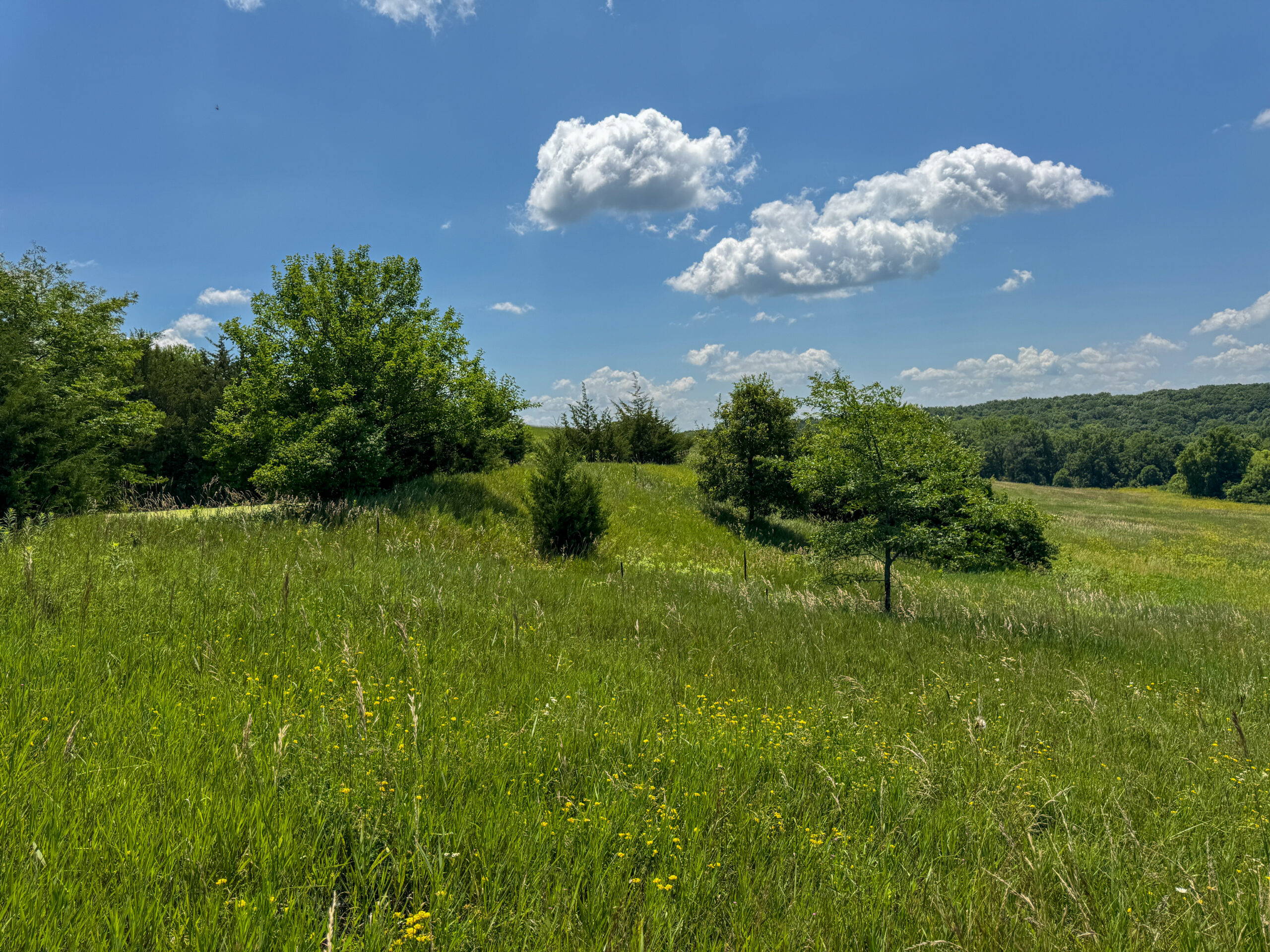 Trophy Hunting • Building Potential • Hobby Farm Opportunity – Monroe County, Iowa 72 +/- Acres