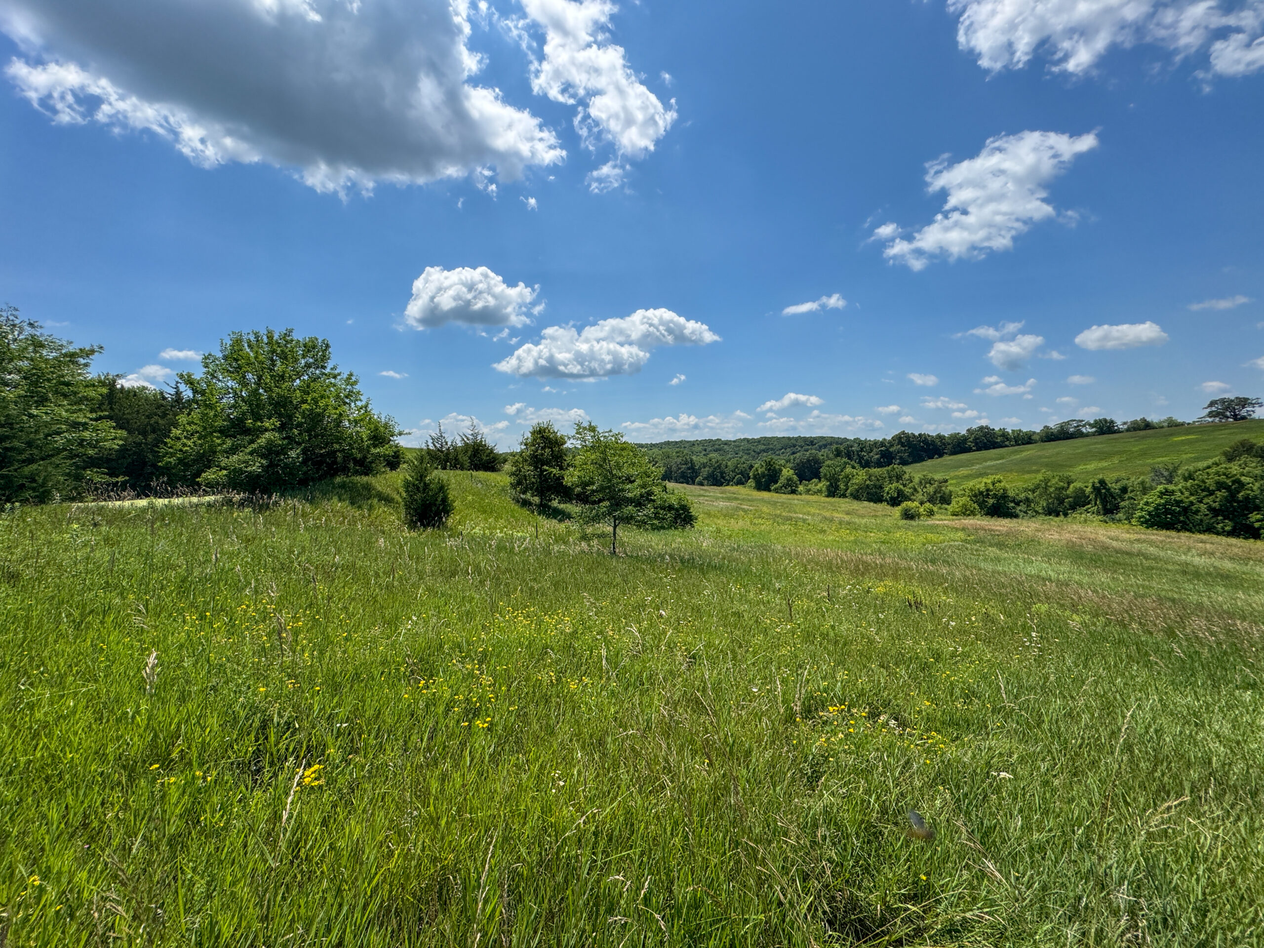 Trophy Hunting • Building Potential • Hobby Farm Opportunity – Monroe County, Iowa 72 +/- Acres