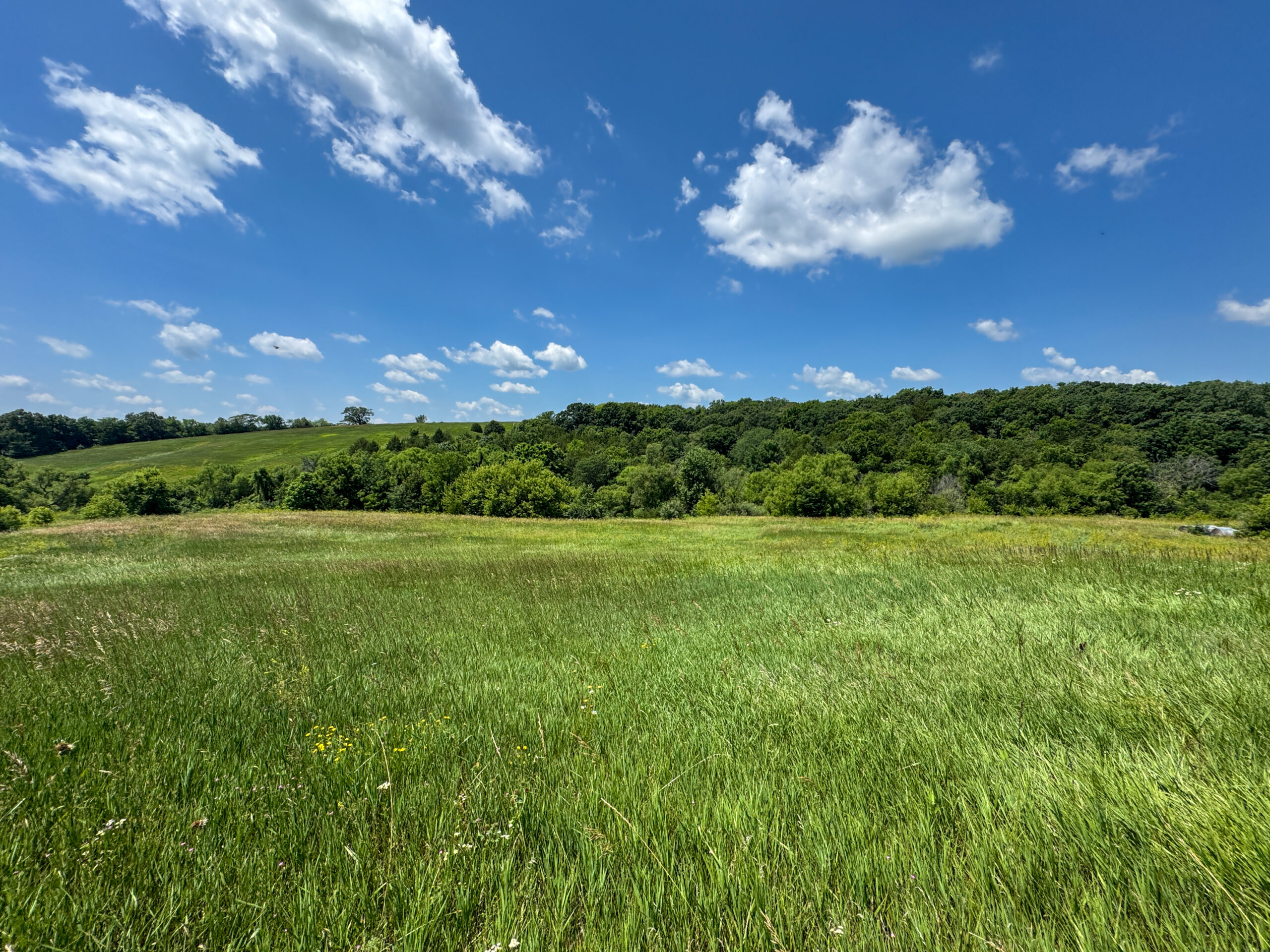 Trophy Hunting • Building Potential • Hobby Farm Opportunity – Monroe County, Iowa 72 +/- Acres