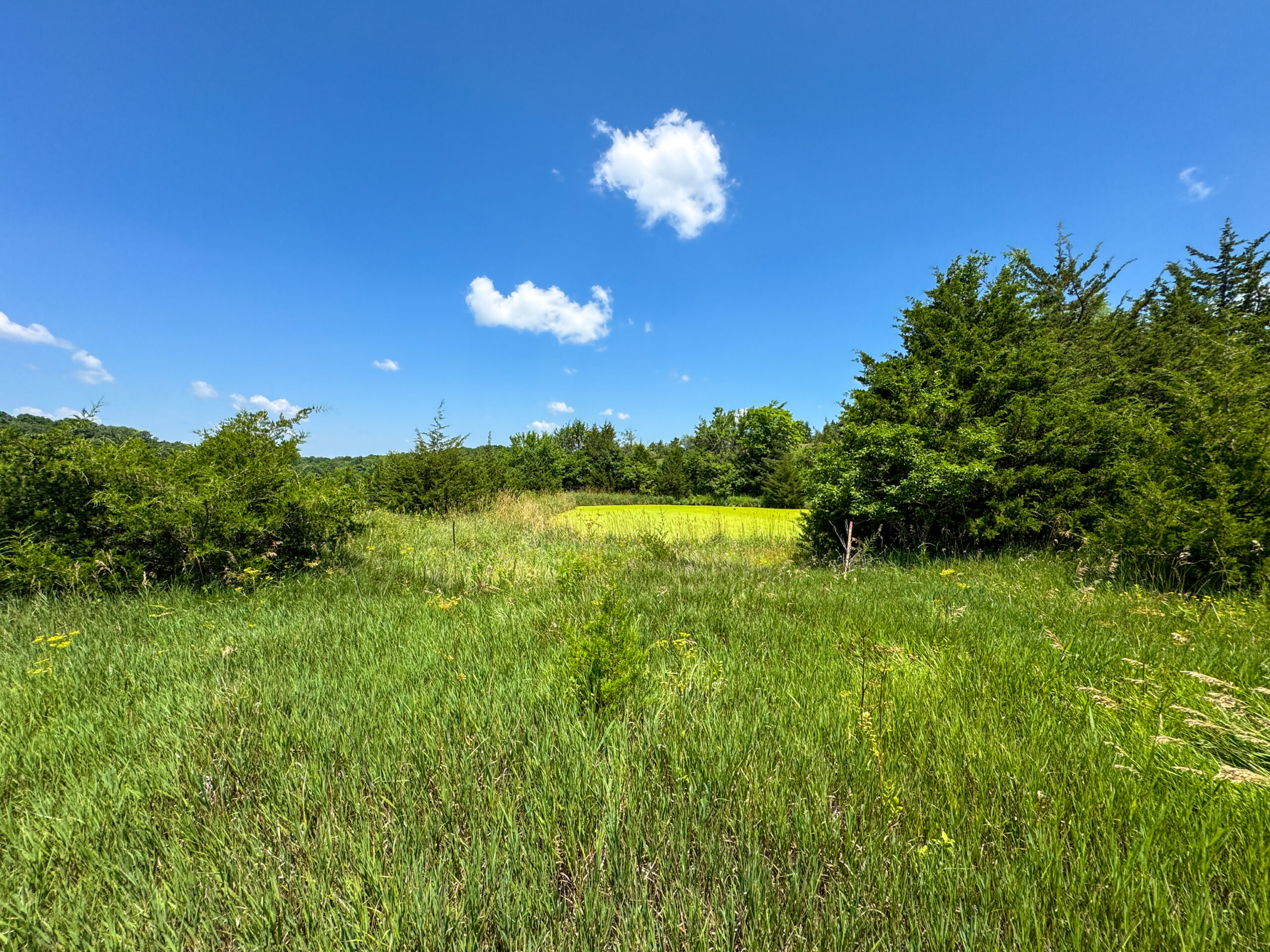 Trophy Hunting • Building Potential • Hobby Farm Opportunity – Monroe County, Iowa 72 +/- Acres