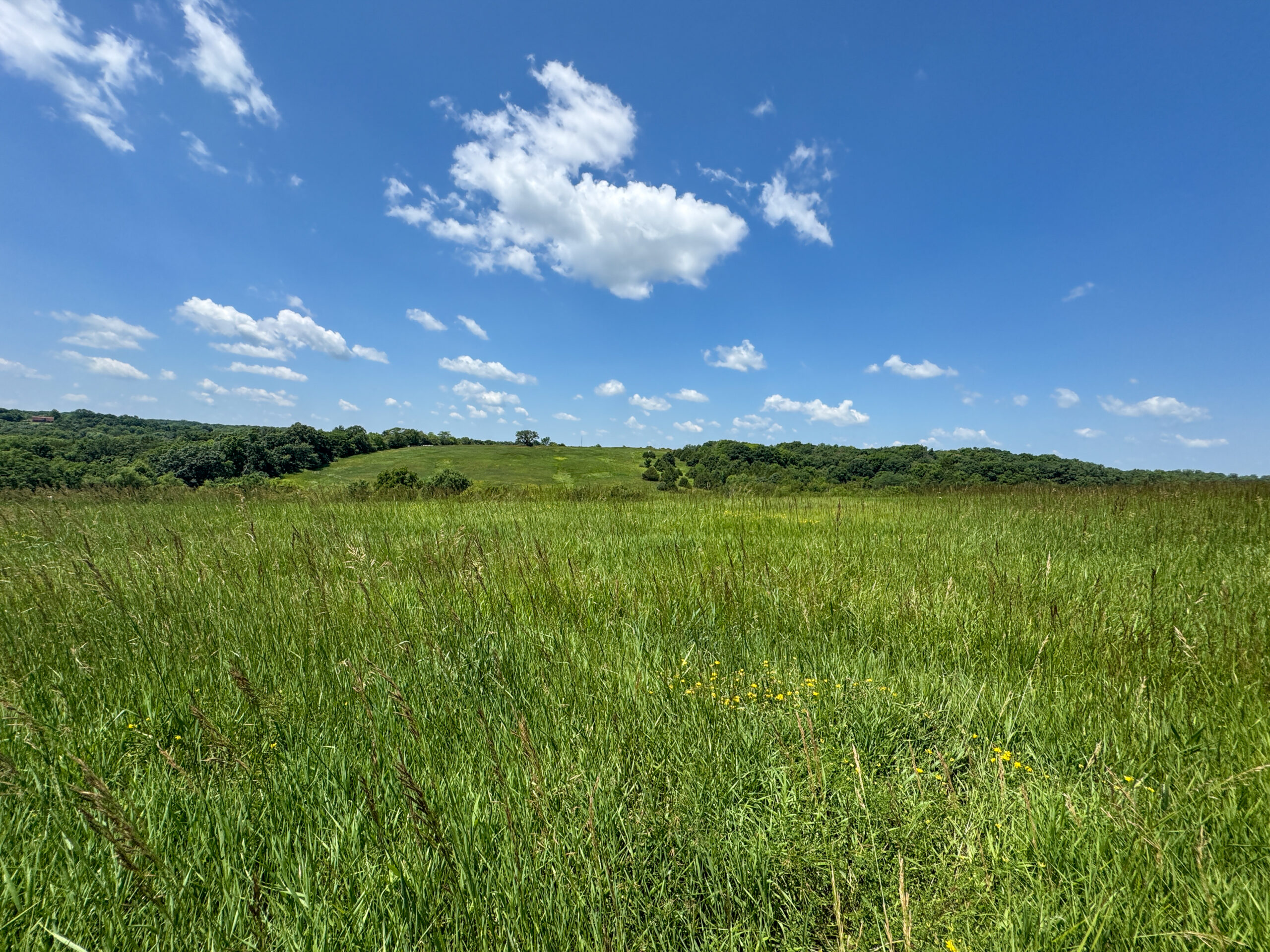 Trophy Hunting • Building Potential • Hobby Farm Opportunity – Monroe County, Iowa 72 +/- Acres