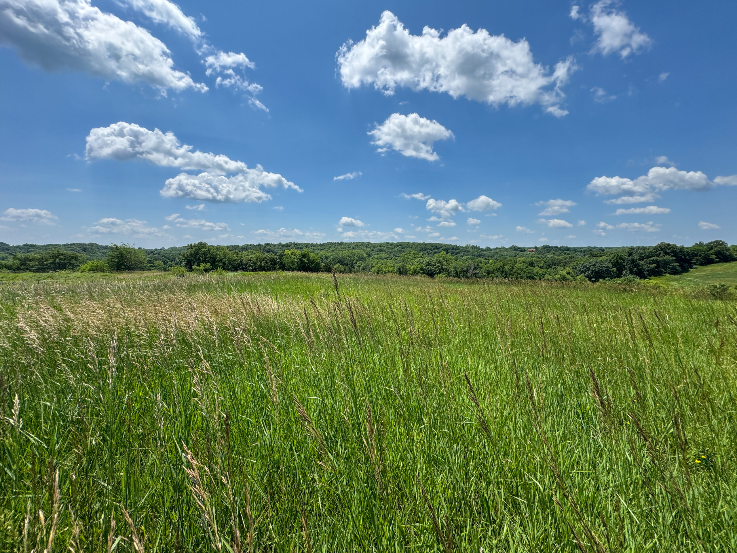 Trophy Hunting • Building Potential • Hobby Farm Opportunity – Monroe County, Iowa 72 +/- Acres
