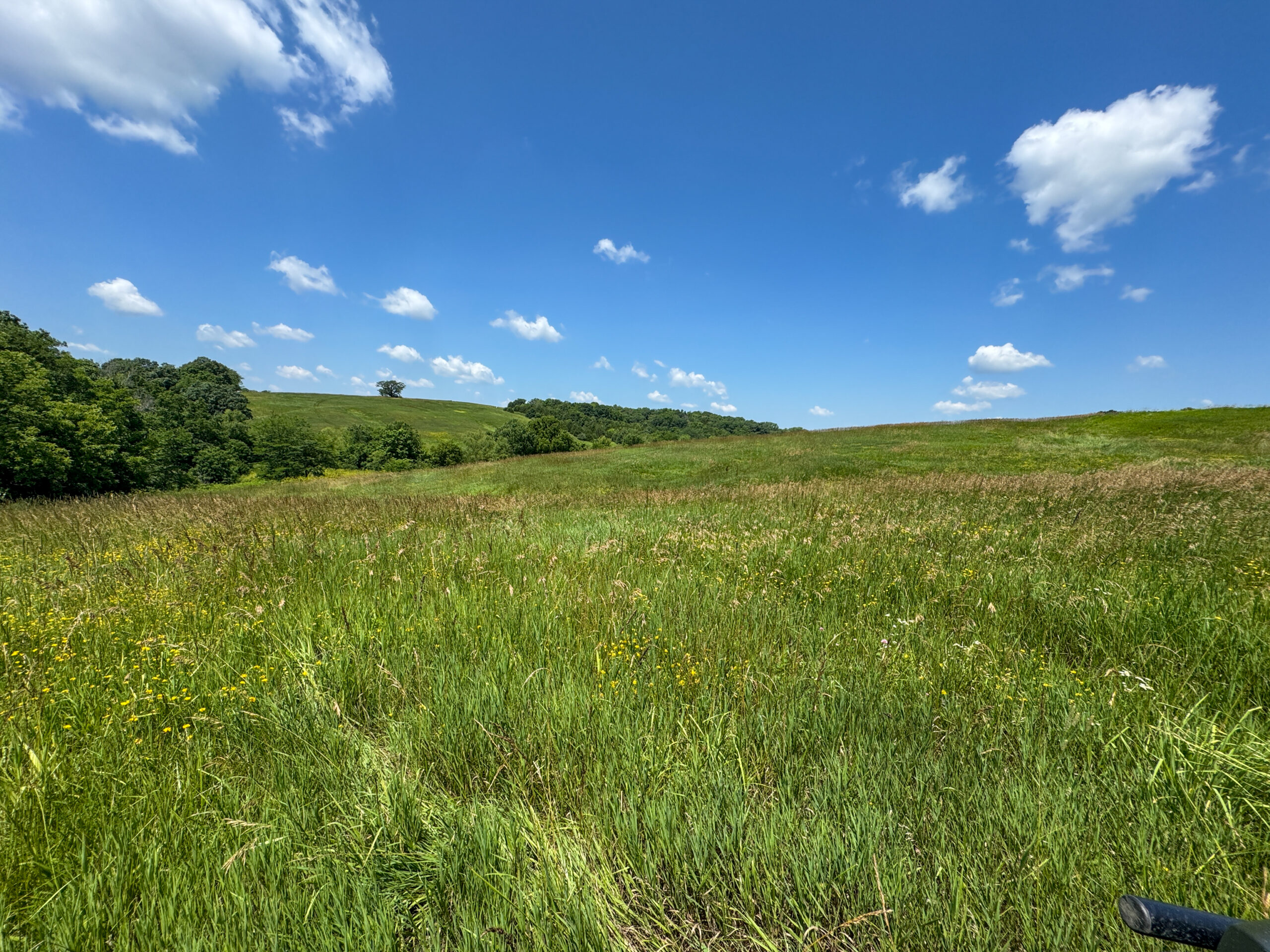 Trophy Hunting • Building Potential • Hobby Farm Opportunity – Monroe County, Iowa 72 +/- Acres