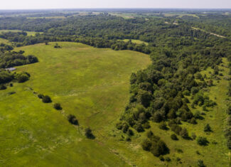 Trophy Hunting • Building Potential • Hobby Farm Opportunity – Monroe County, Iowa 72 +/- Acres