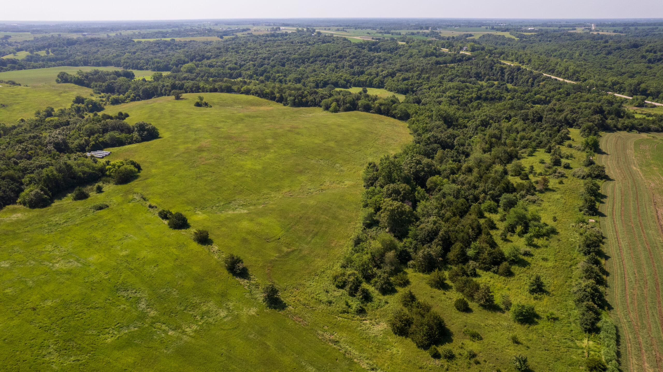 Trophy Hunting • Building Potential • Hobby Farm Opportunity – Monroe County, Iowa 72 +/- Acres