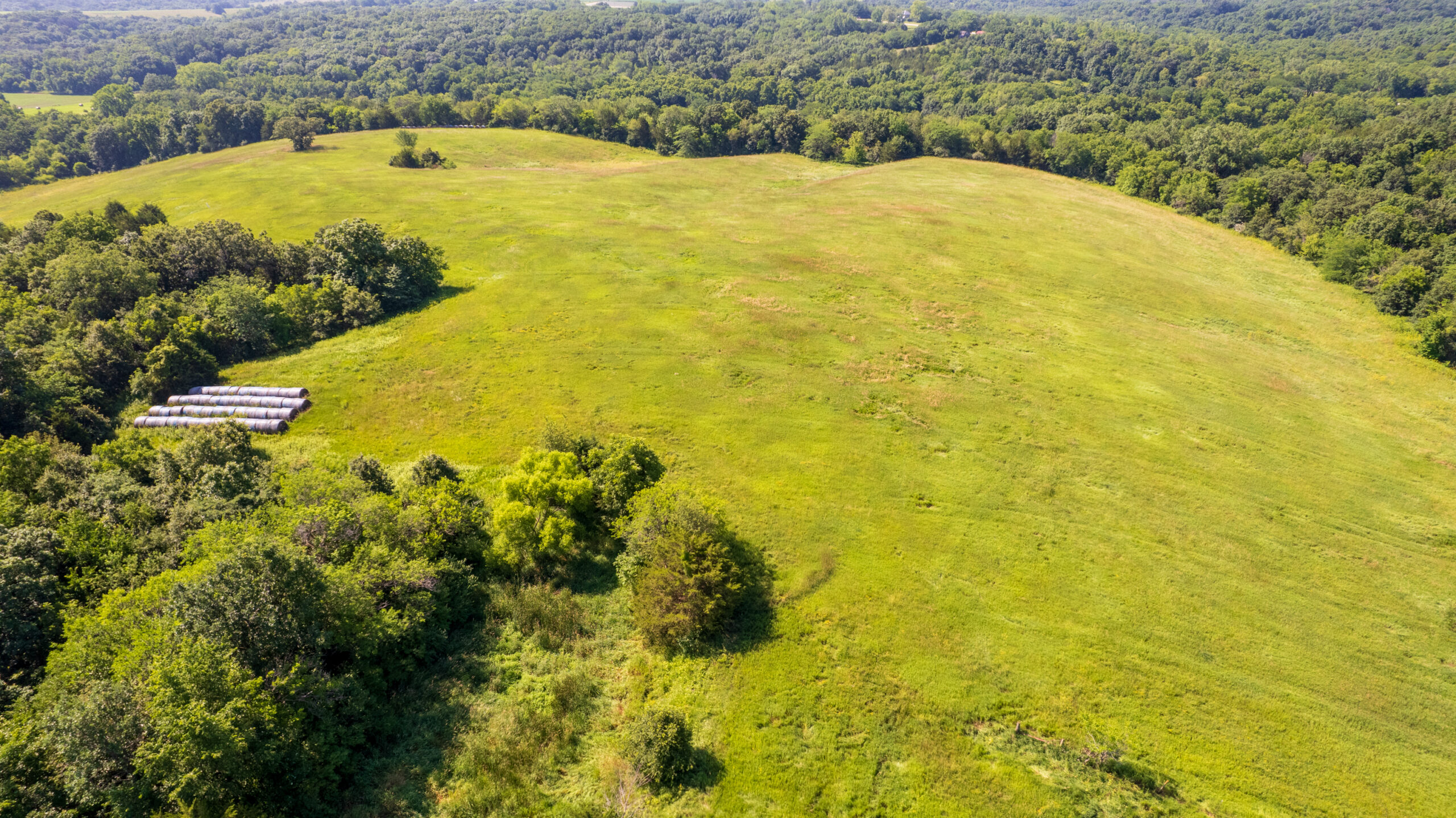 Trophy Hunting • Building Potential • Hobby Farm Opportunity – Monroe County, Iowa 72 +/- Acres