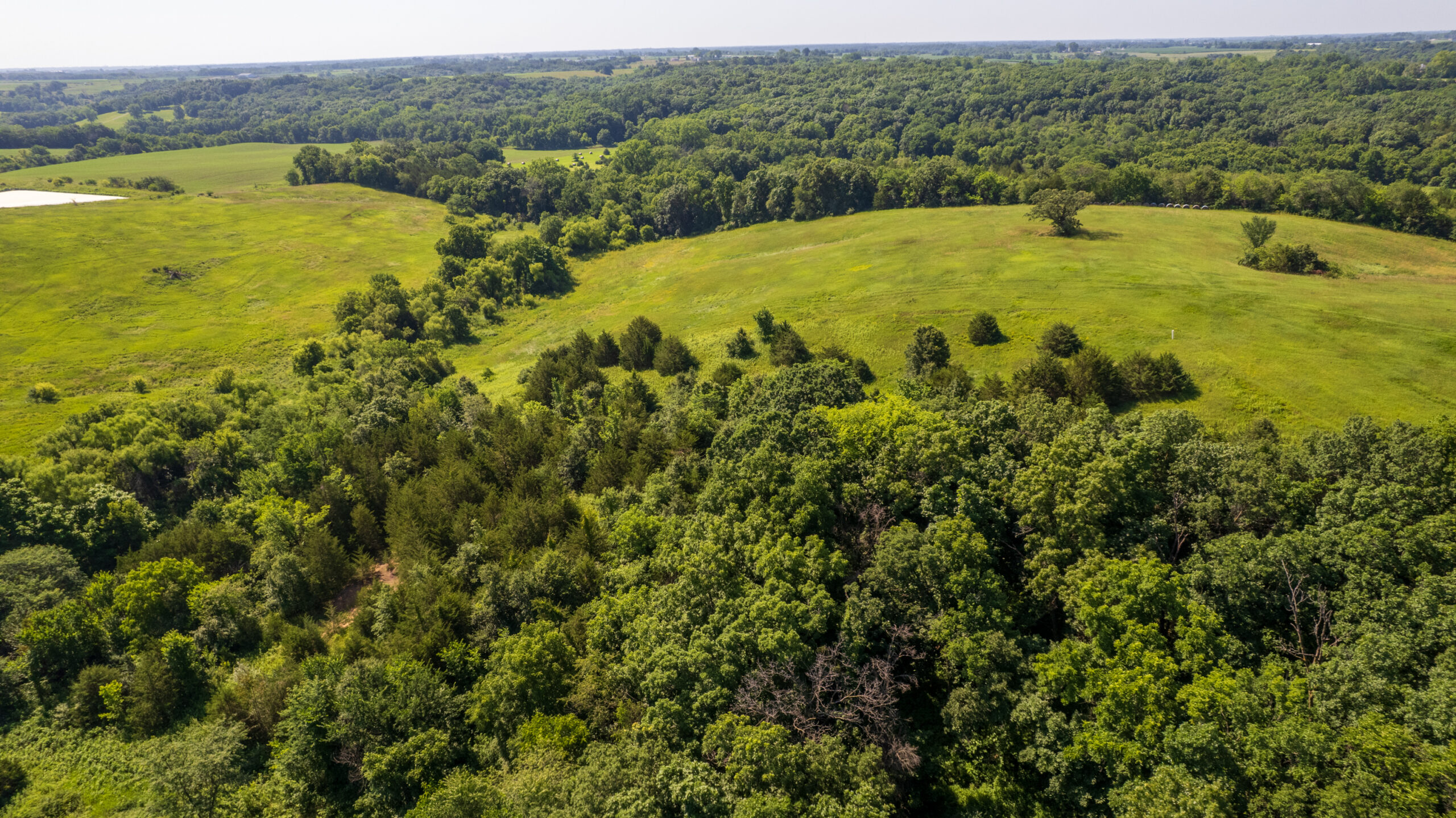 Trophy Hunting • Building Potential • Hobby Farm Opportunity – Monroe County, Iowa 72 +/- Acres