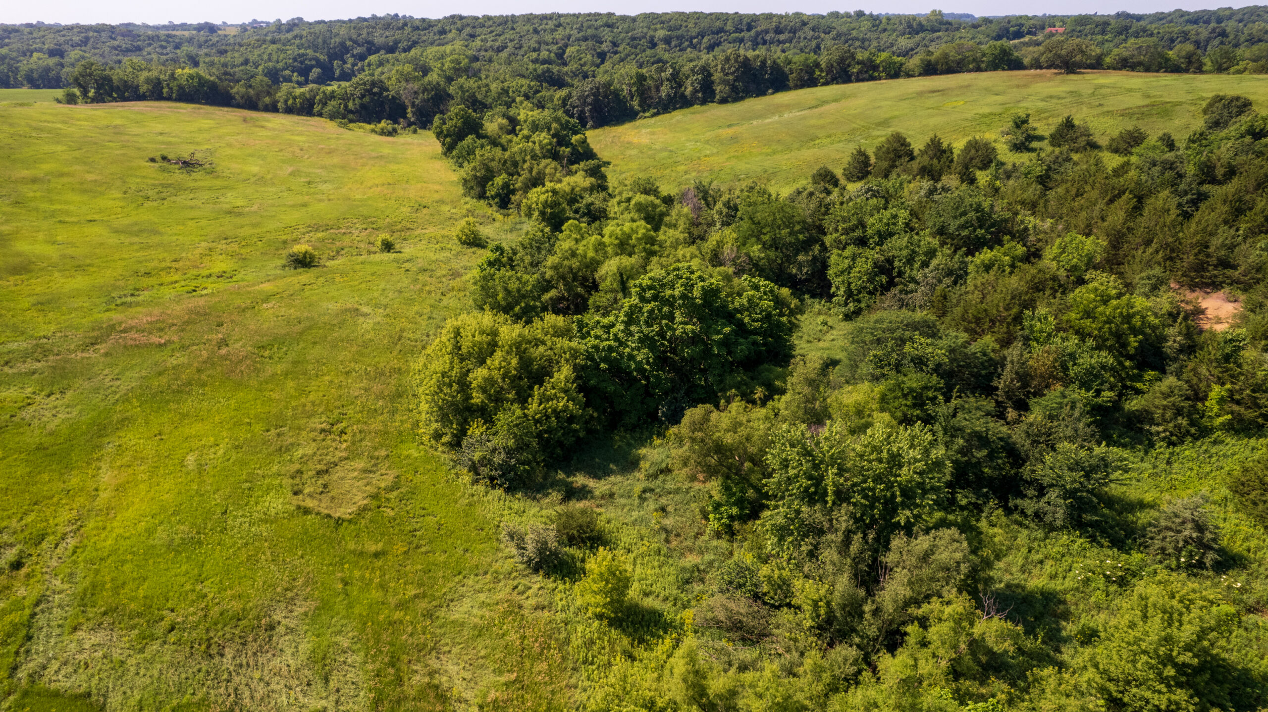 Trophy Hunting • Building Potential • Hobby Farm Opportunity – Monroe County, Iowa 72 +/- Acres