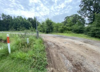 60 Acre Timber and Hunting Property for Sale in Elysian Fields ISD