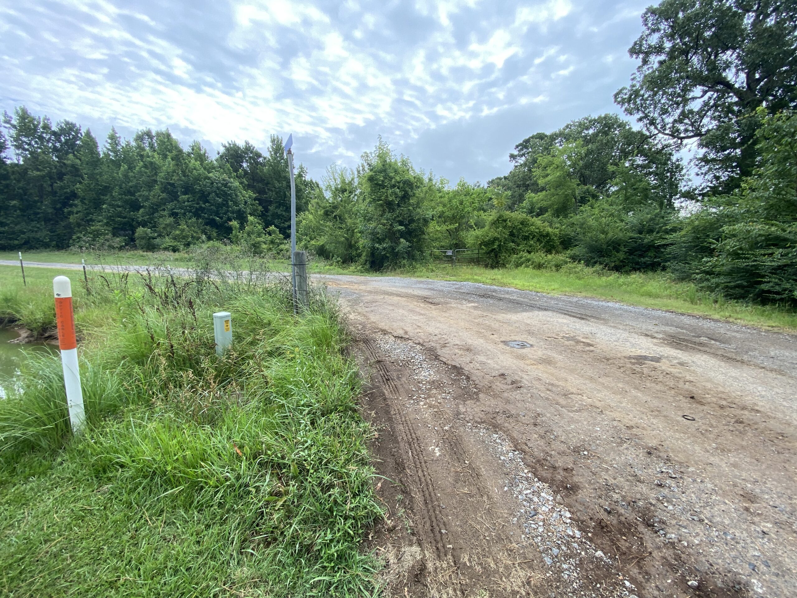 60 Acre Timber and Hunting Property for Sale in Elysian Fields ISD