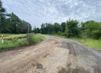 60 Acre Timber and Hunting Property for Sale in Elysian Fields ISD