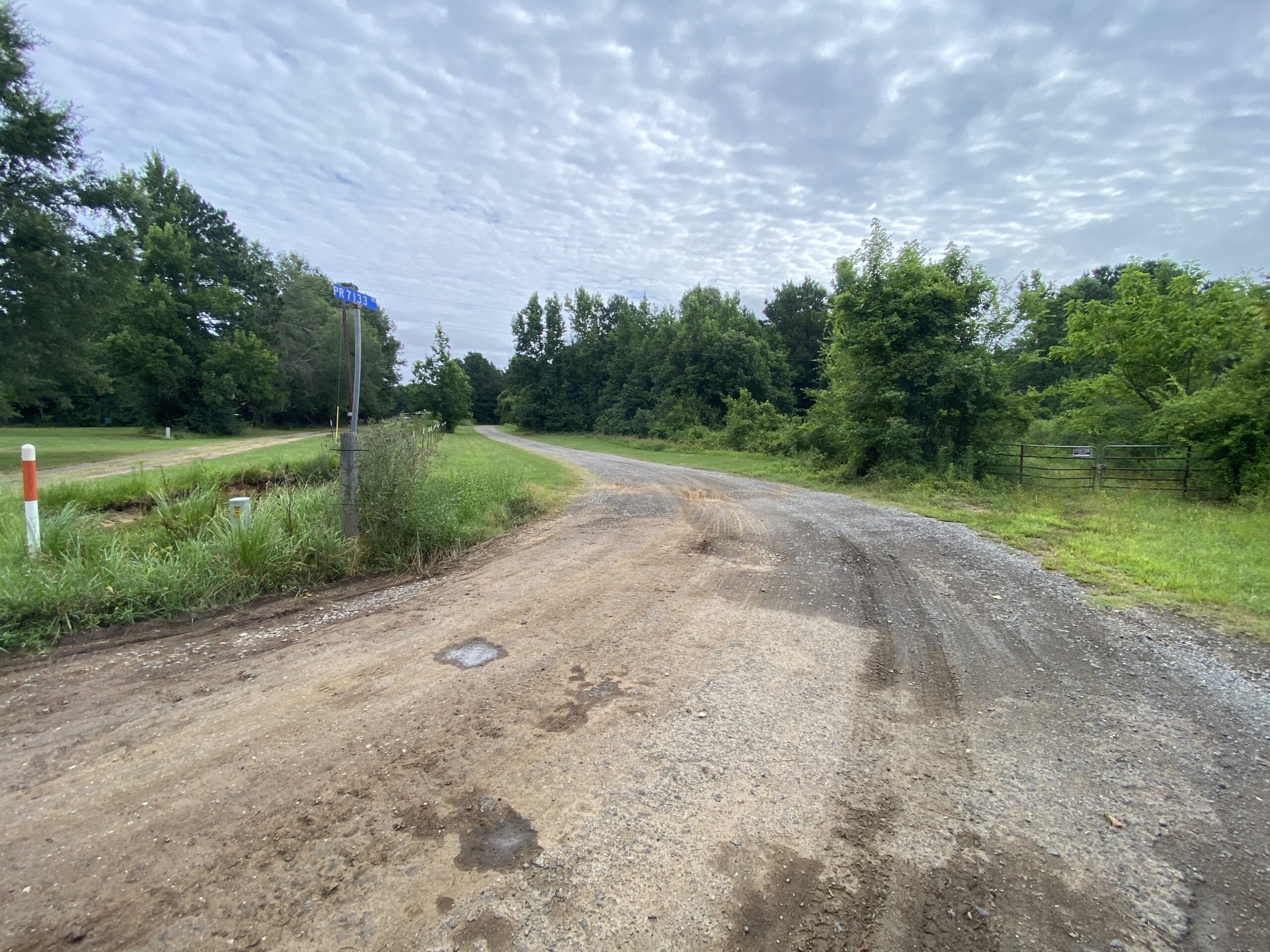 60 Acre Timber and Hunting Property for Sale in Elysian Fields ISD