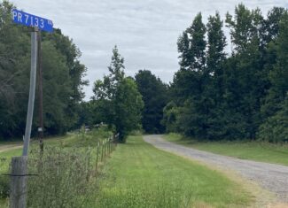 60 Acre Timber and Hunting Property for Sale in Elysian Fields ISD