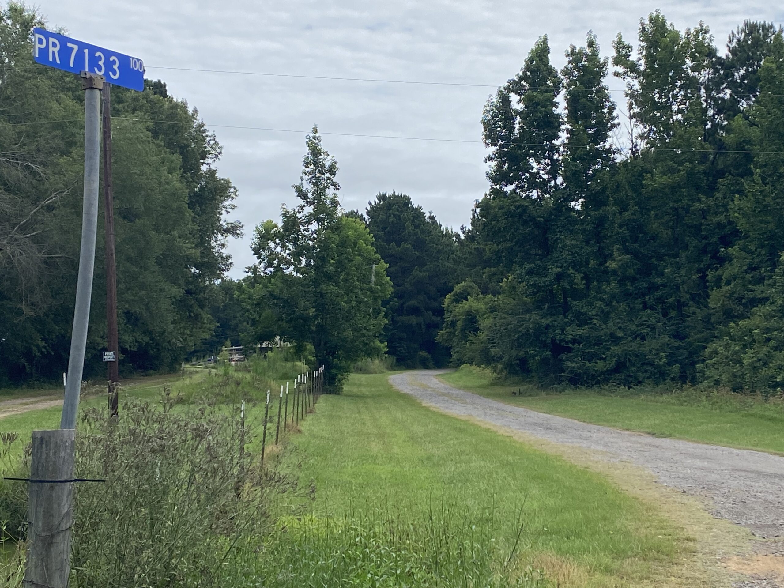 60 Acre Timber and Hunting Property for Sale in Elysian Fields ISD