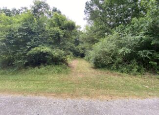 60 Acre Timber and Hunting Property for Sale in Elysian Fields ISD