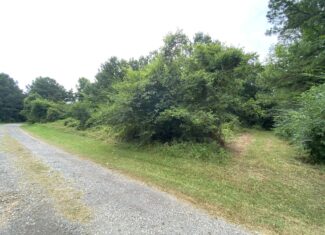 60 Acre Timber and Hunting Property for Sale in Elysian Fields ISD