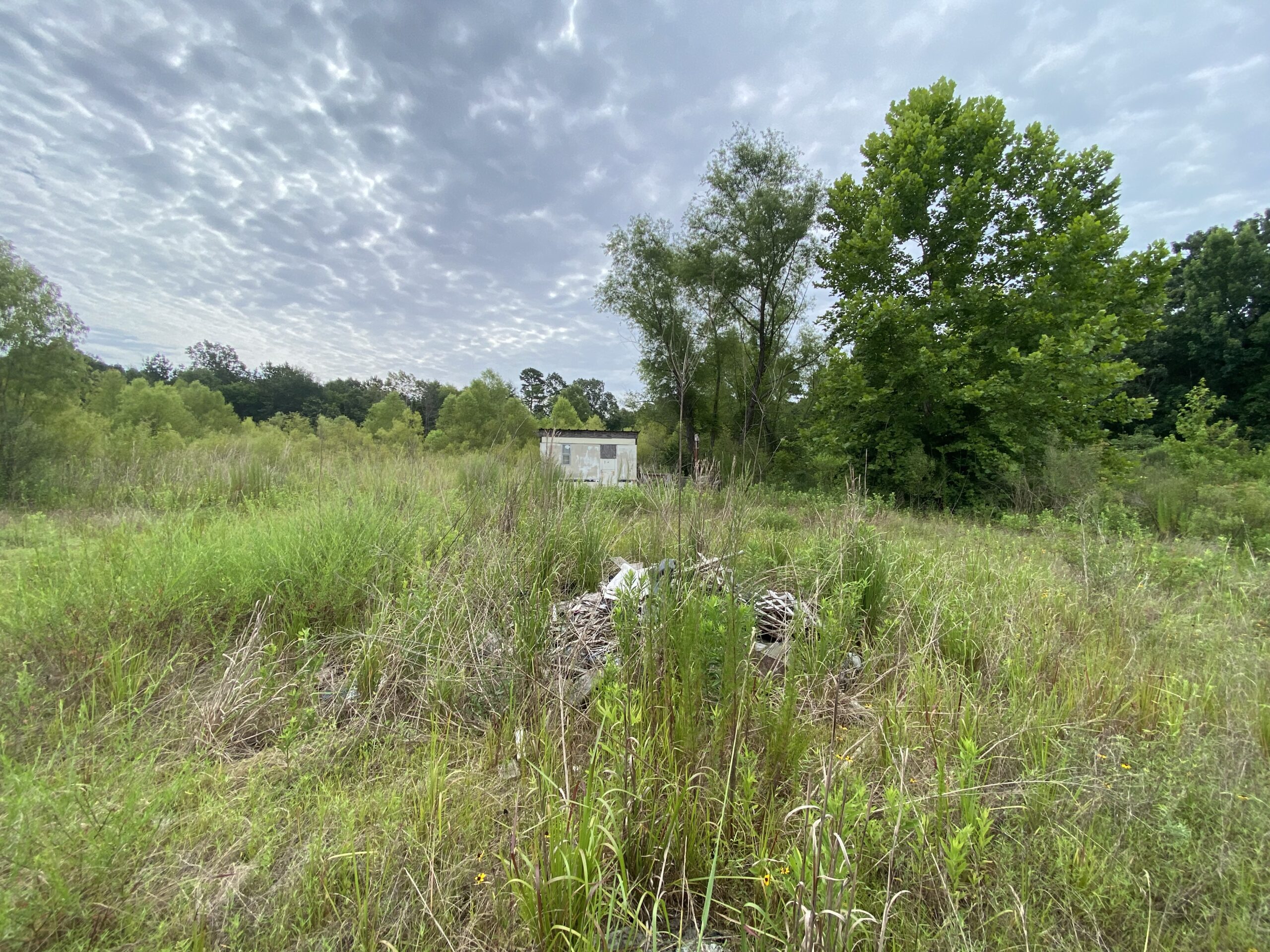 60 Acre Timber and Hunting Property for Sale in Elysian Fields ISD