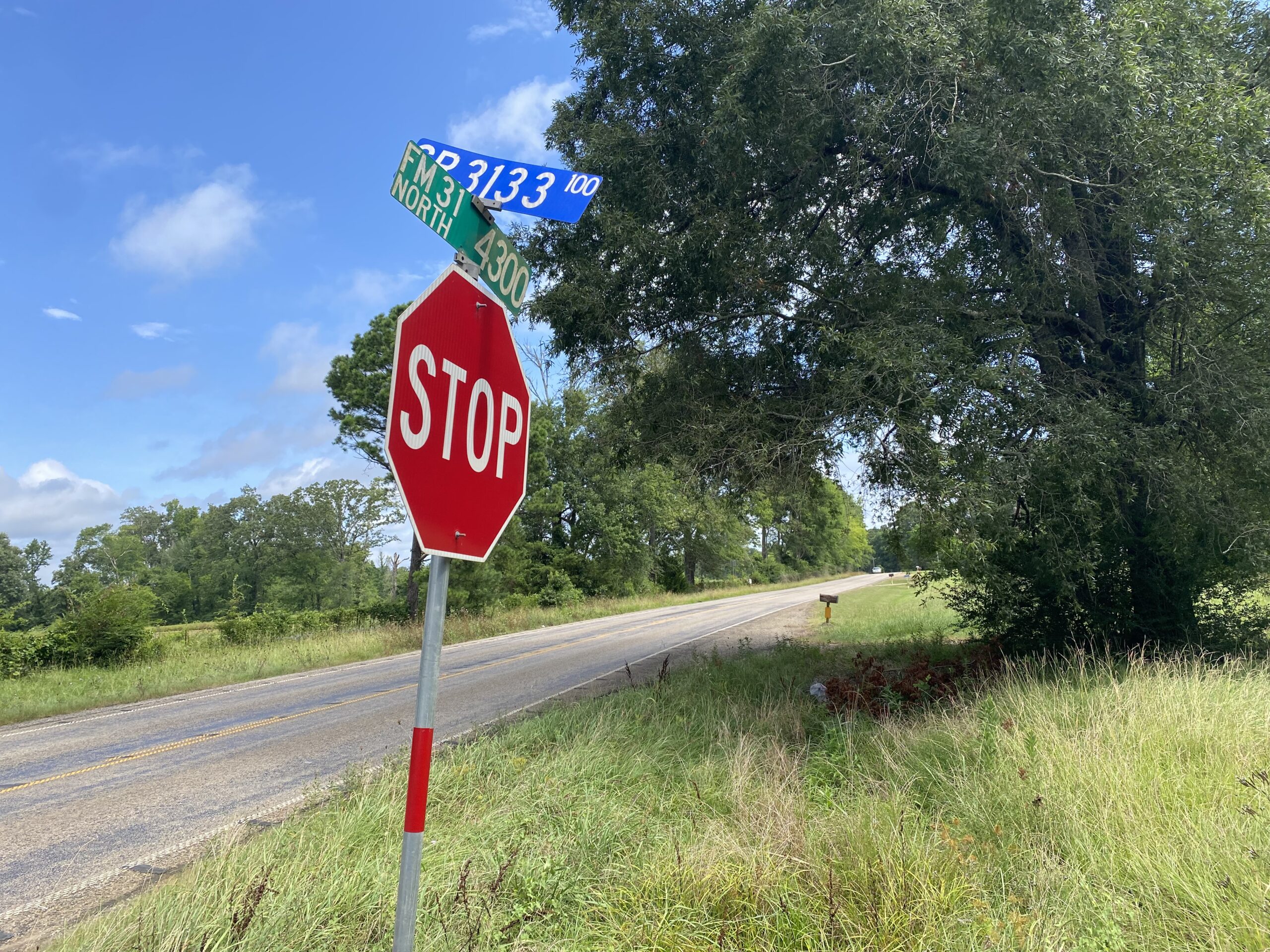 60 Acre Timber and Hunting Property for Sale in Elysian Fields ISD