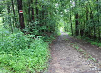 115 Acres Hunting Land with Cabin in Monroe County, OH