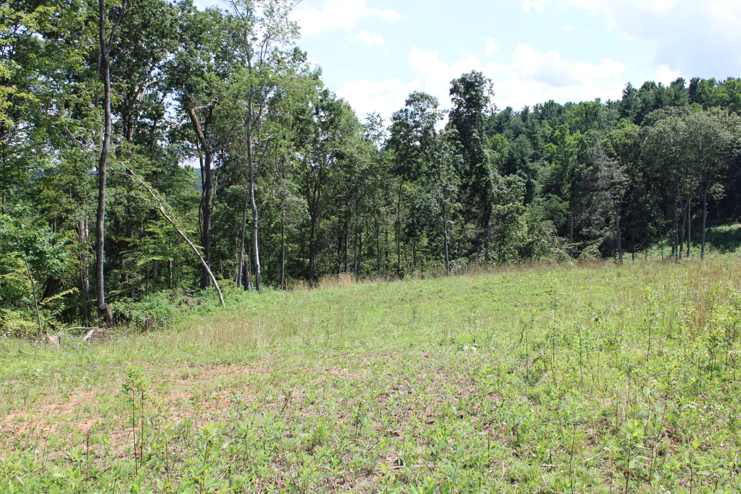 115 Acres Hunting Land with Cabin in Monroe County, OH