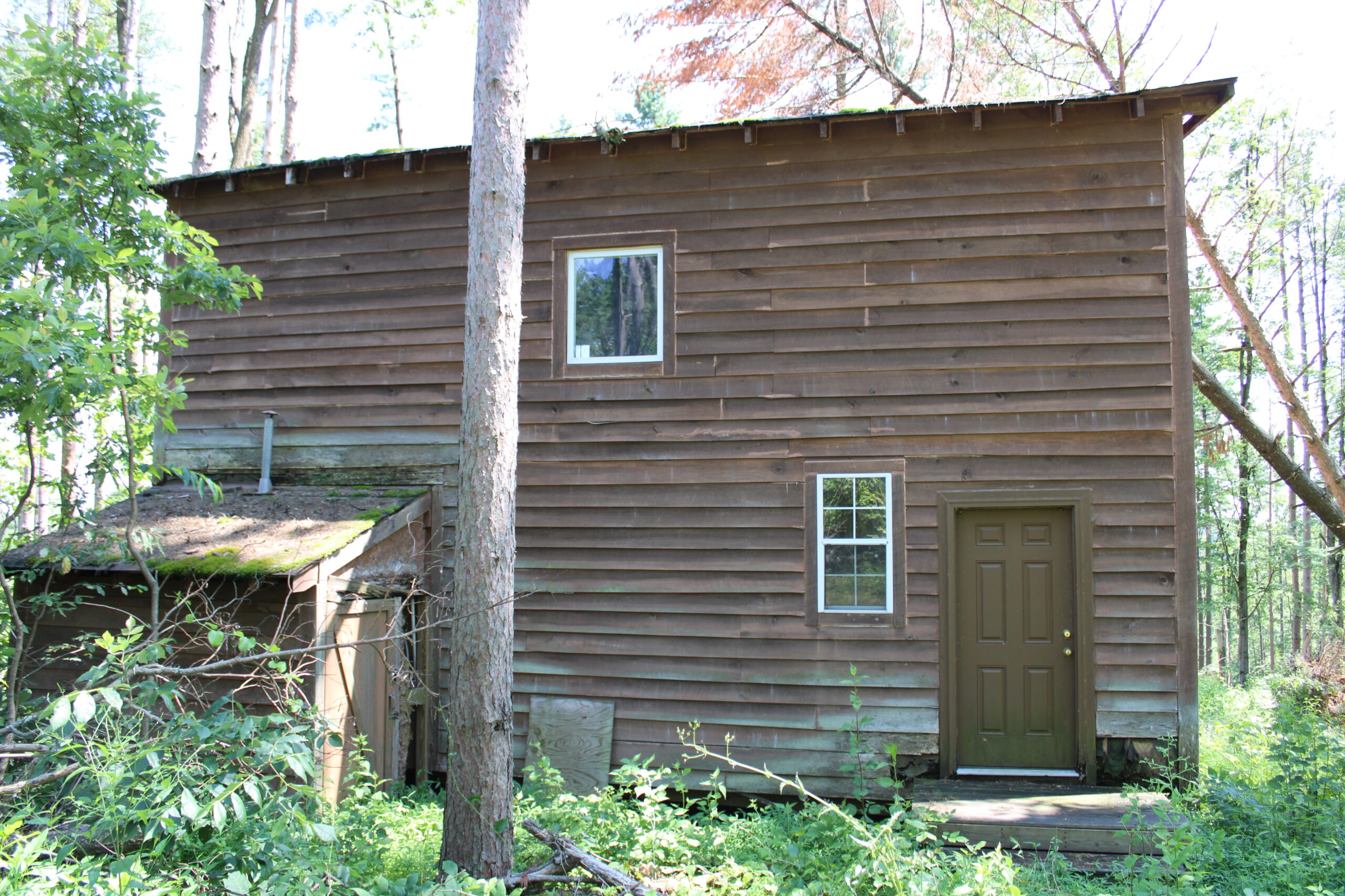 115 Acres Hunting Land with Cabin in Monroe County, OH