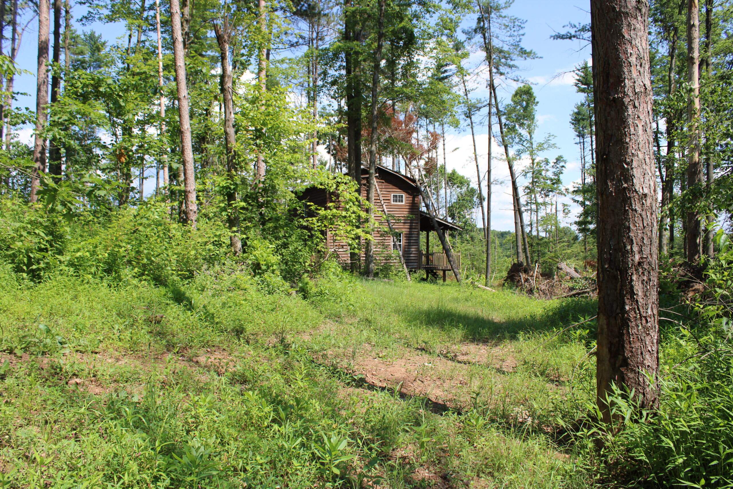 115 Acres Hunting Land with Cabin in Monroe County, OH