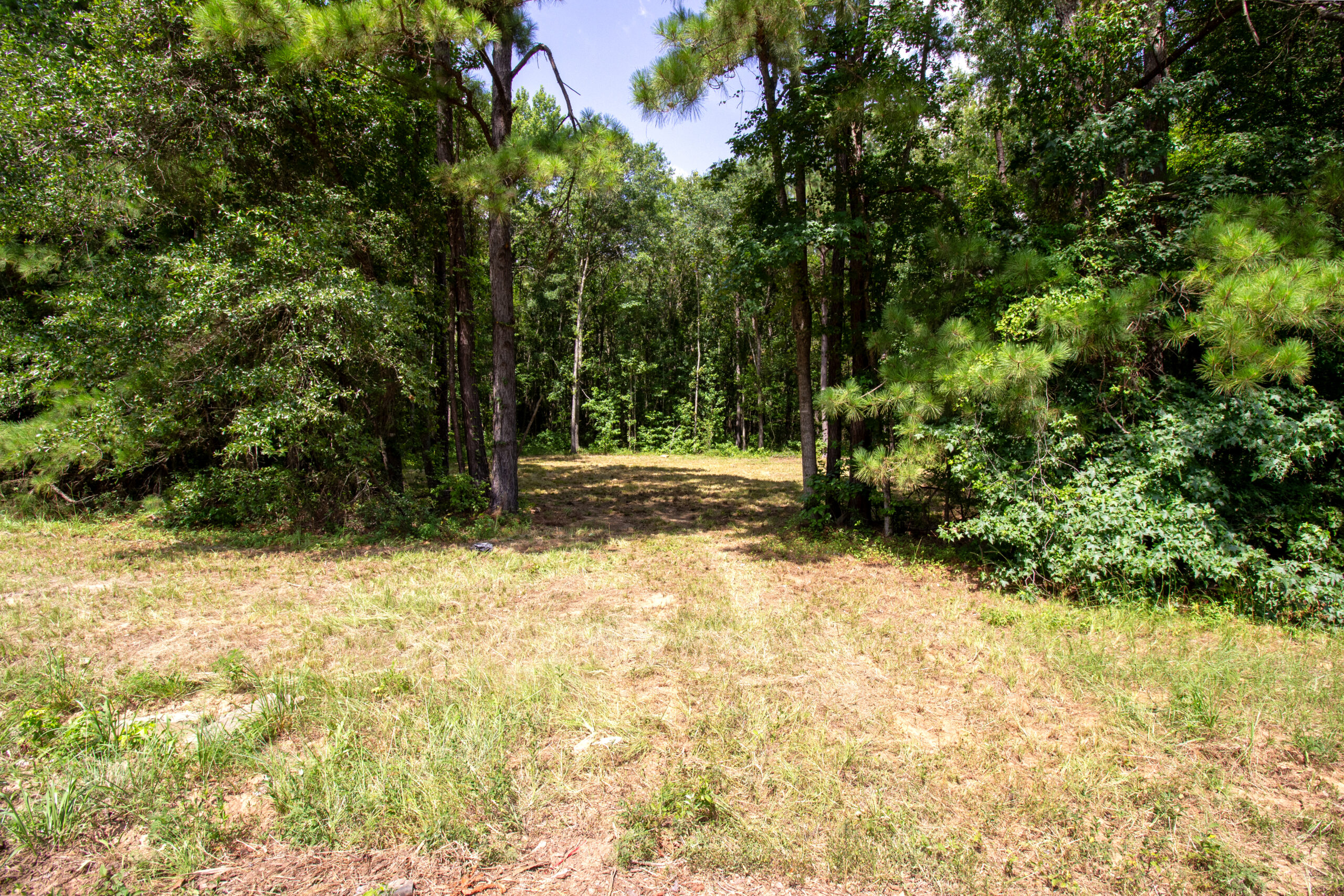 East Texas Land for Sale – ±8.38 Acres for Homesite or Hunting