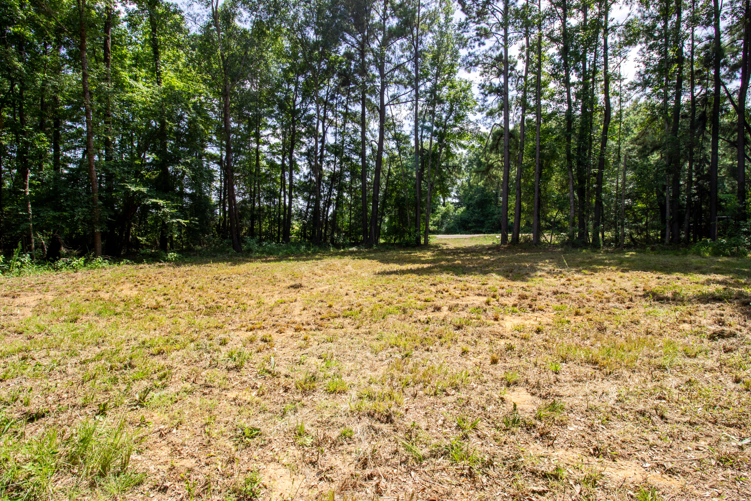 East Texas Land for Sale – ±8.38 Acres for Homesite or Hunting