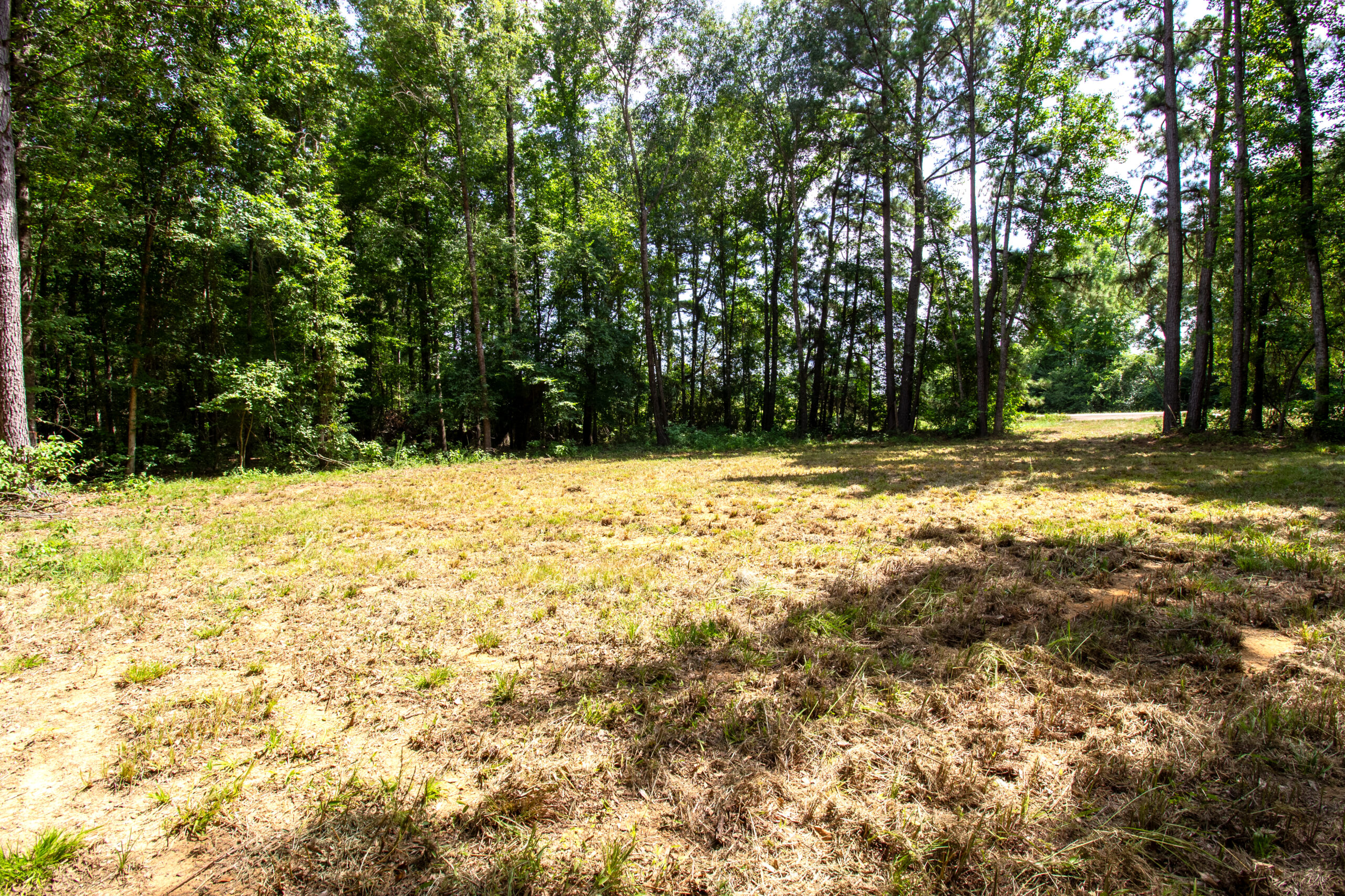 East Texas Land for Sale – ±8.38 Acres for Homesite or Hunting