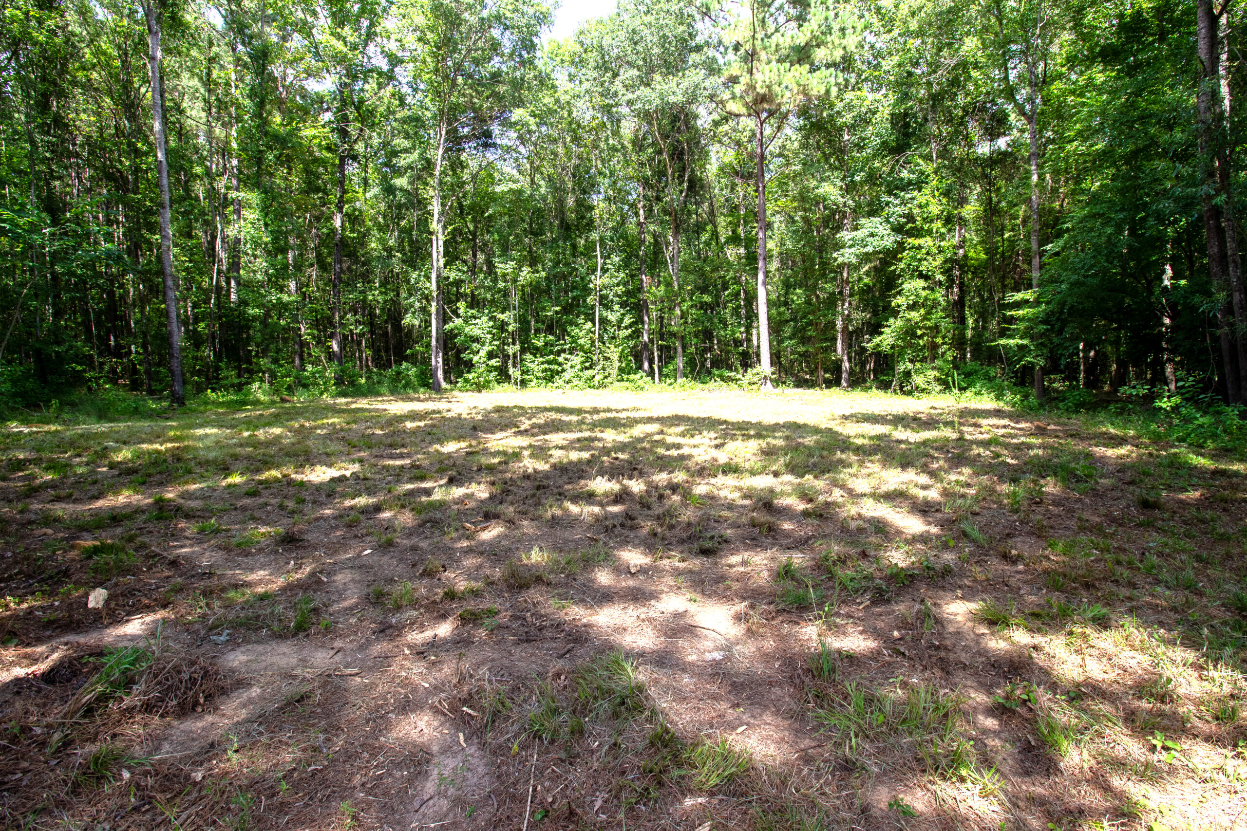 East Texas Land for Sale – ±8.38 Acres for Homesite or Hunting