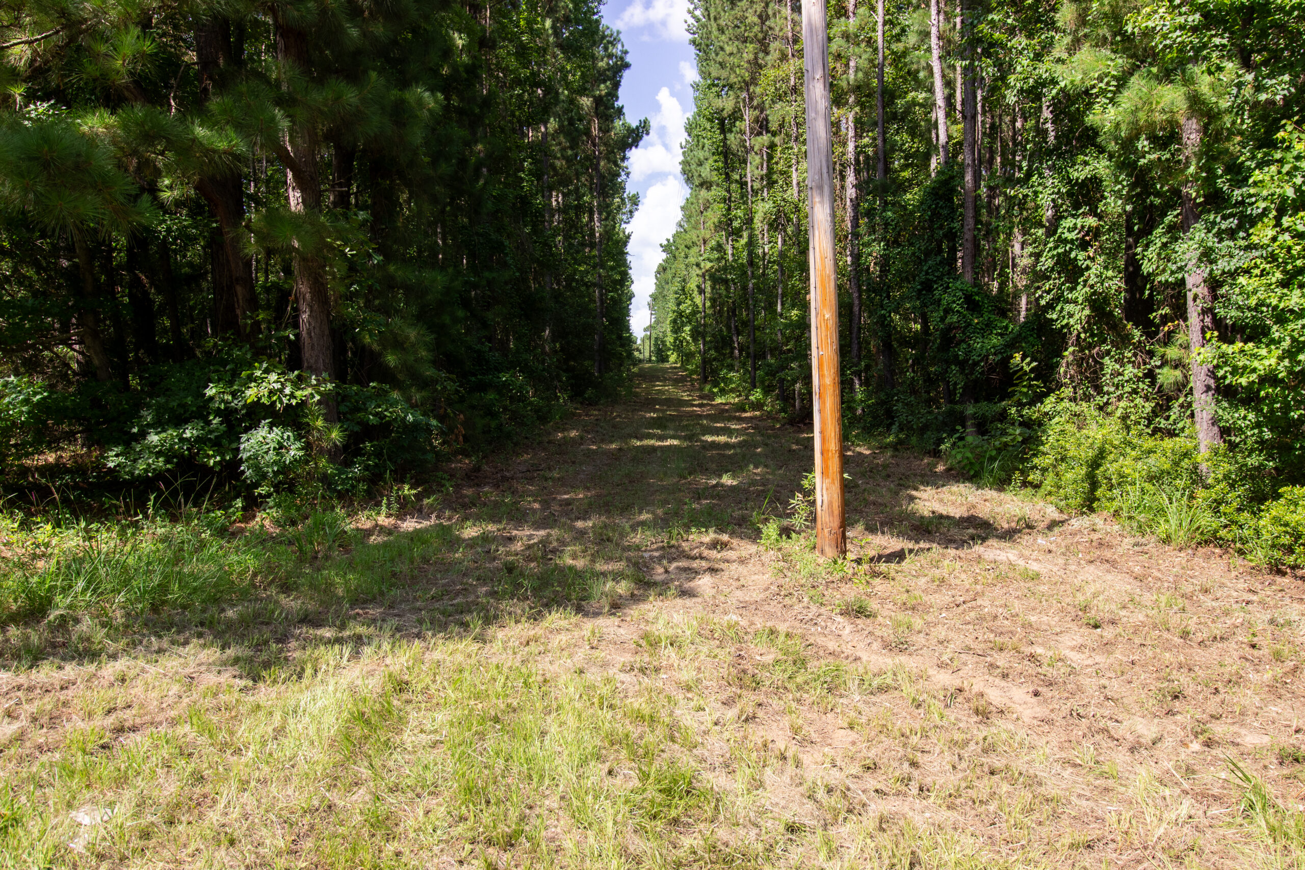 East Texas Land for Sale – ±8.38 Acres for Homesite or Hunting